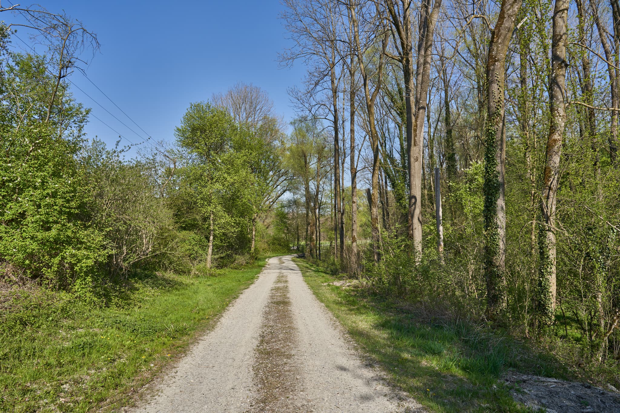Weg zur Fischtreppe und Inn Kraftwerk in Stammham, Altötting. Landschaft Oberbayern, Inn-Salzach, Deutschland, mit Bäumen und grüner Natur.