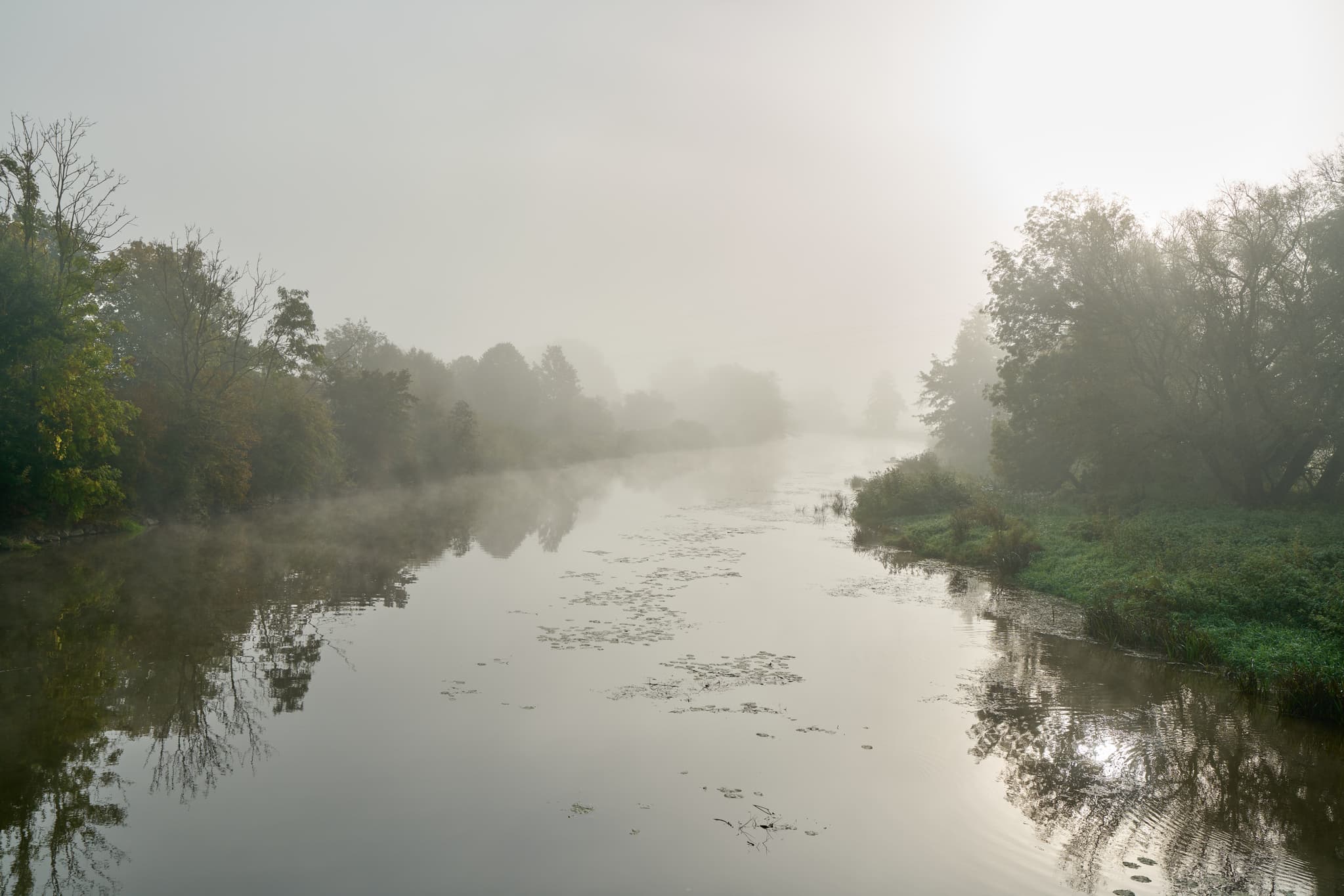 Nebellandschaft an der Rott in Bad Birnbach, Landkreis Rottal-Inn, Niederbayern. Flusslandschaft im Bäderdreieck zeigt dicht bewachsene Ufer im Morgendunst.