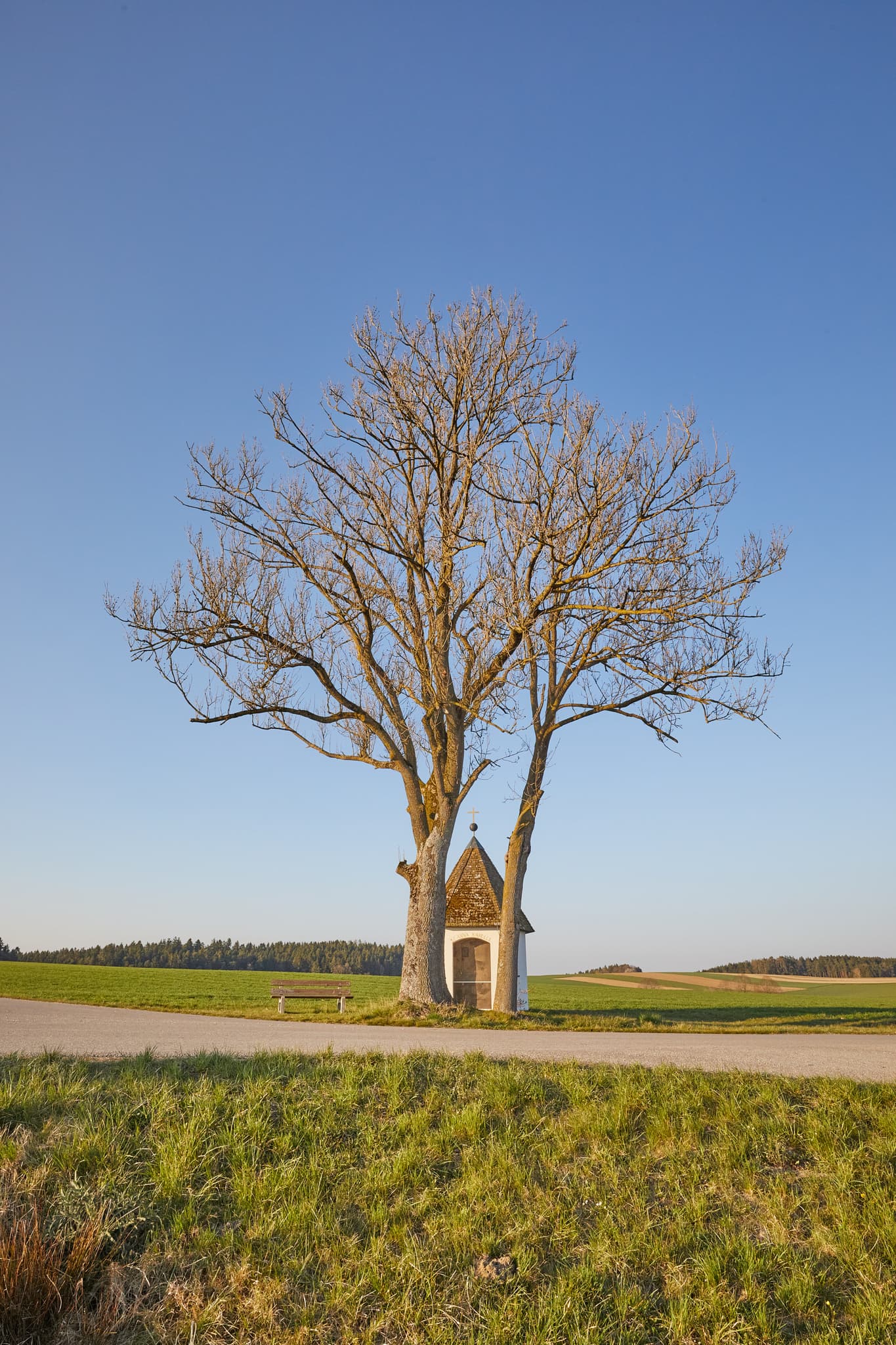 Kapelle St. Anna mit Baum in Feldlandschaft bei Martinskirchen, Wurmannsquick, Landkreis Rottal-Inn, Niederbayern, Holzland, Deutschland.