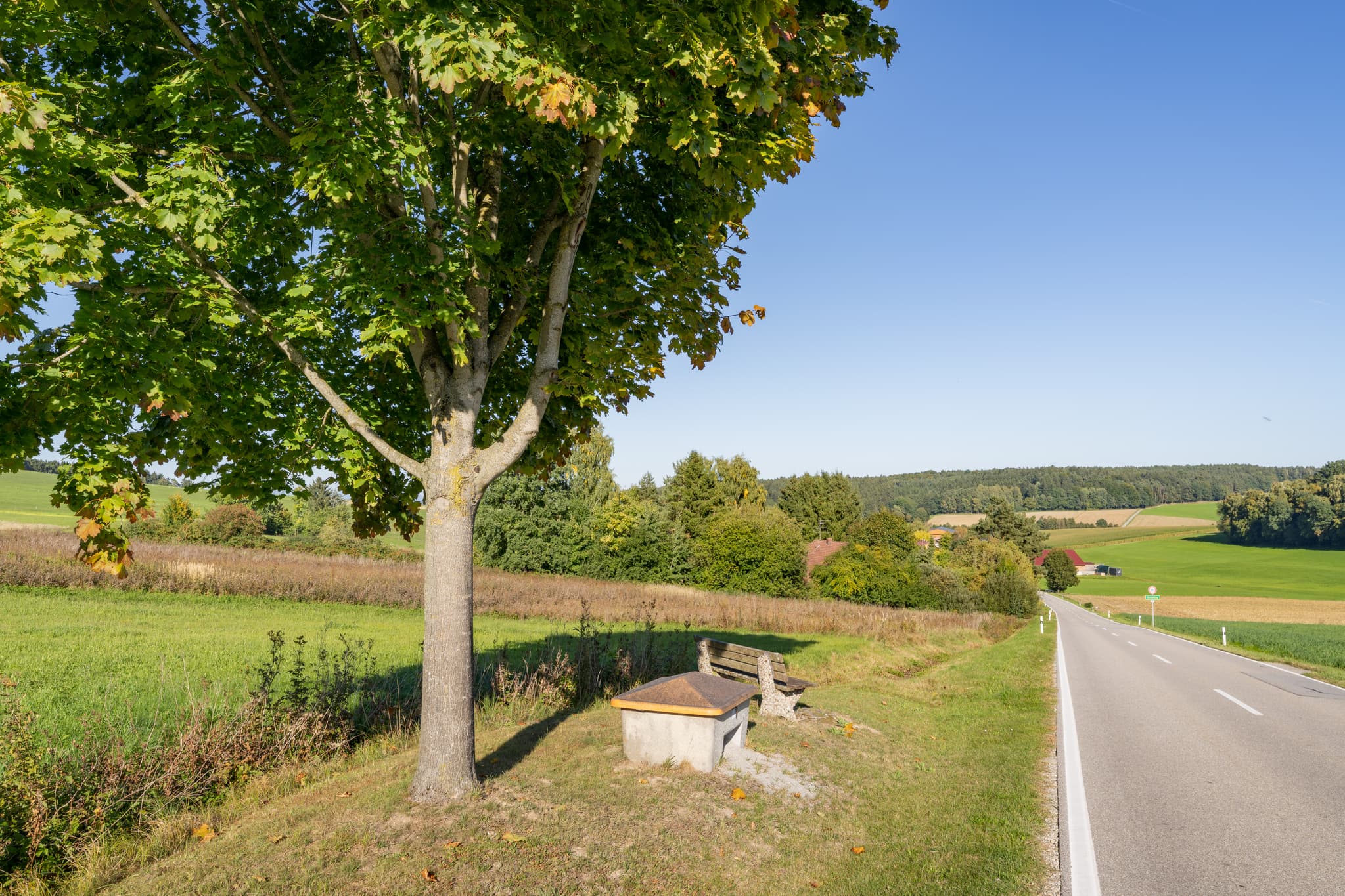 Holzbank unter Baum am Straßenrand, umgeben von weiten Feldern bei Baumgarten, Dietersburg, Landkreis Rottal-Inn, Niederbayern. Landschaft des Holzlandes.
