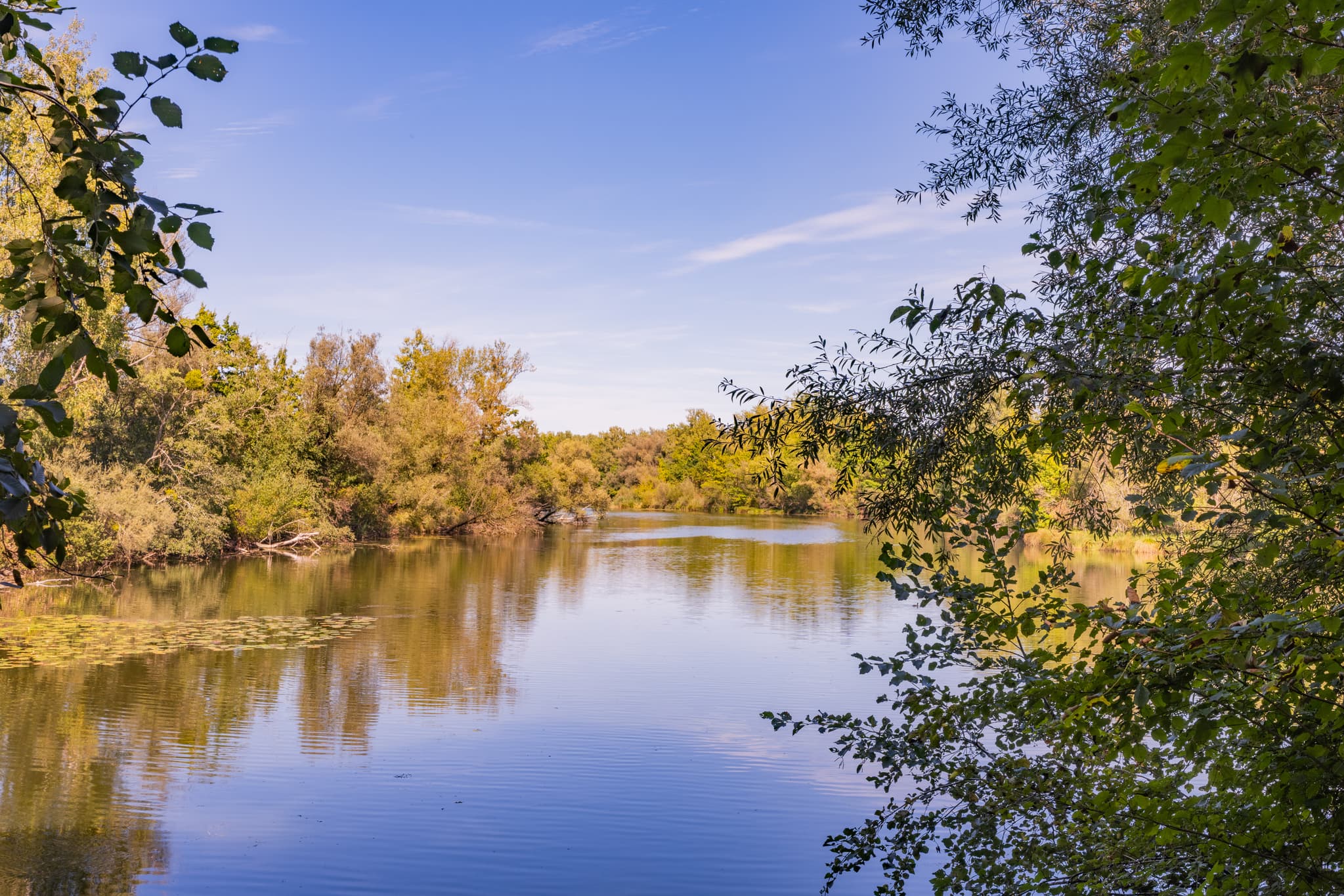 Waldsee Lago Sommer, Badesee in Kirchdorf am Inn. Naturlandschaft im Landkreis Rottal-Inn, Niederbayern, Deutschland, Region Bäderdreieck.