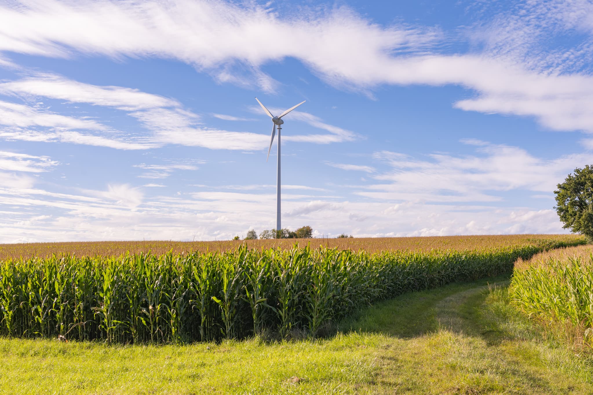 Windenergieanlage in einem Feld bei Dirnaich, Ortsteil von Gangkofen. Ansicht des Windparks im Landkreis Rottal-Inn, Niederbayern, Region Holzland, Deutschland.