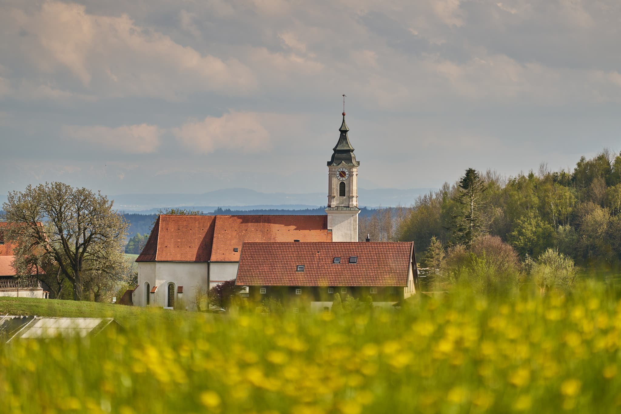 Malerisches Frühlingsbild der Kirche St. Wolfgang in Bad Griebsach, Landkreis Passau, Niederbayern. Umgeben von blühenden Feldern und Hügeln, Deutschland.