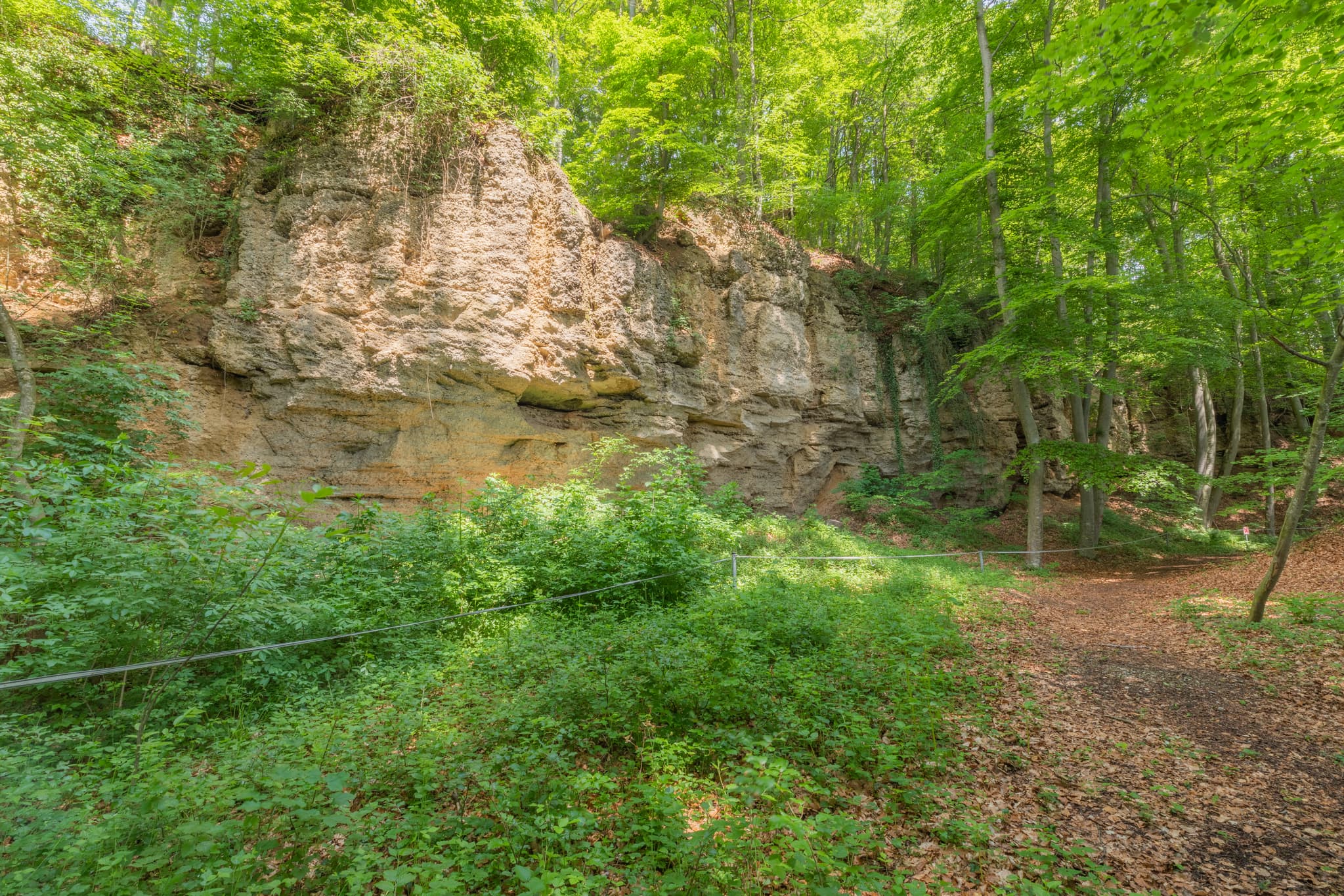 Geologische Orgeln Schroffen in Oberschroffen, Unterneukirchen, Altötting, Oberbayern, Inn-Salzach, Deutschland. Felsformation eingebettet in grüne Natur.