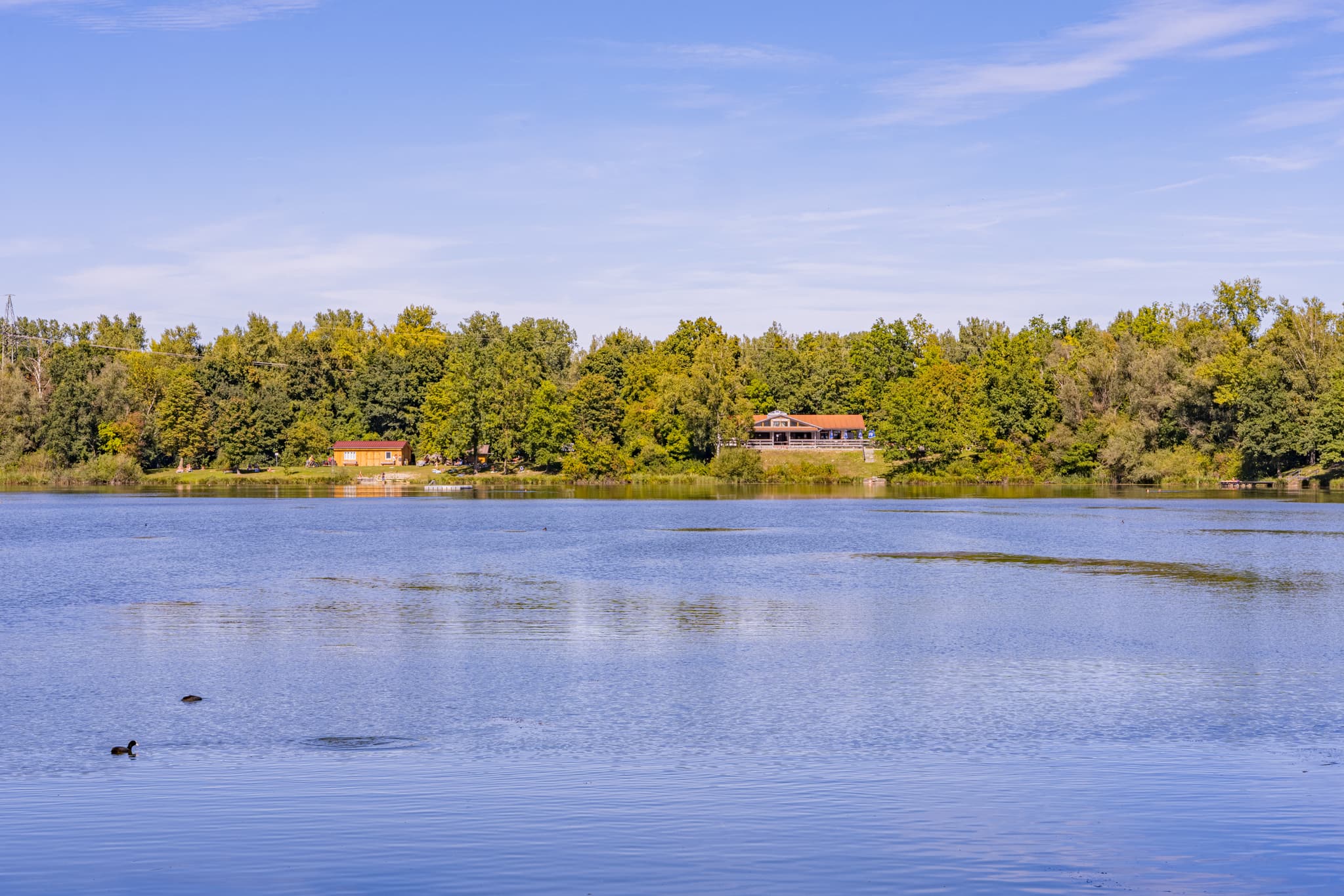 Badesee, Waldsee Lago bei Kirchdorf am Inn, Landkreis Rottal-Inn, Niederbayern. Blick auf das Gewässer im Bäderdreieck, Deutschland, mit Ufer und Enten.