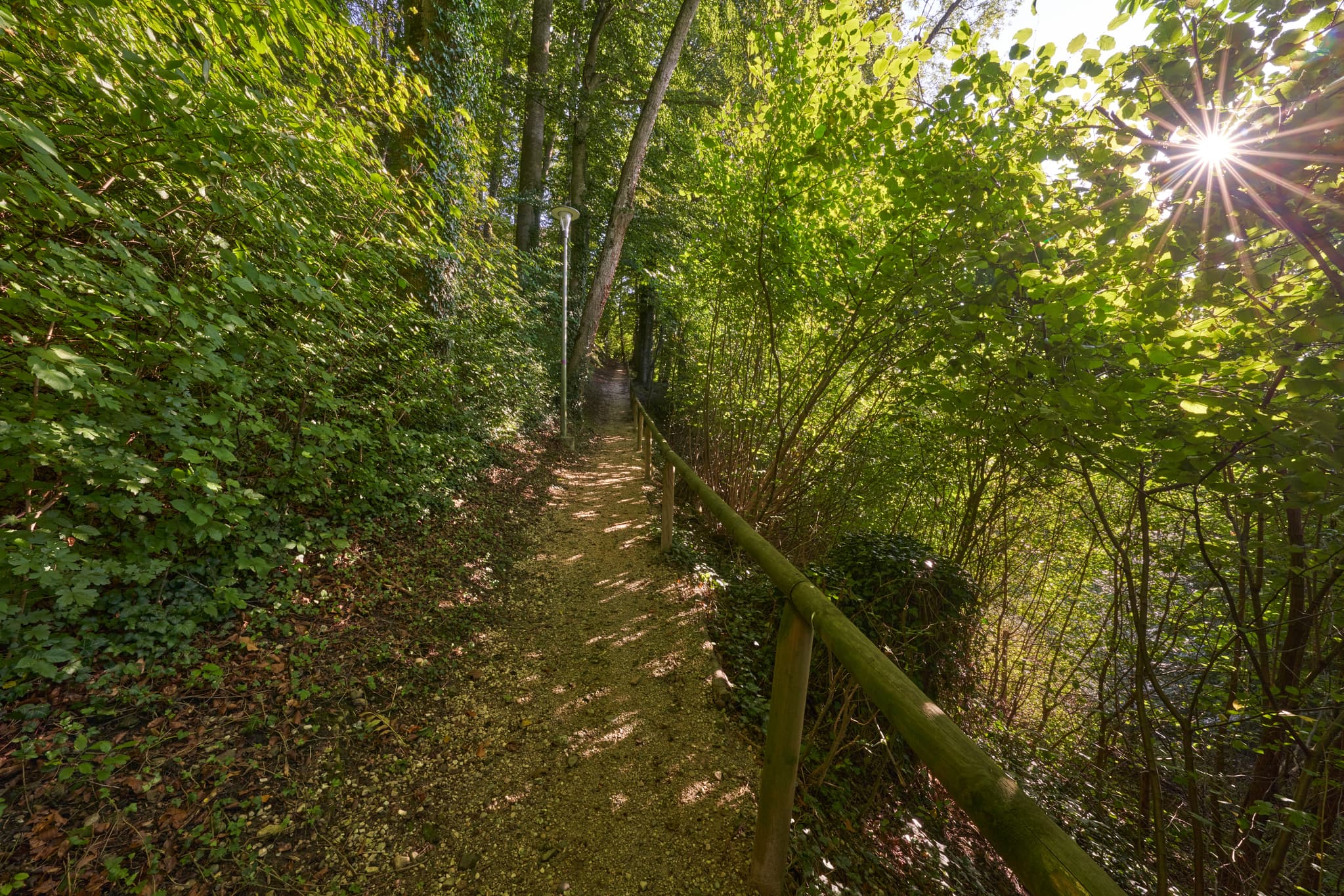 Pfad des St.-Rupert-Pilgerwegs in Margarethenberg, Burgkirchen, Altötting, Oberbayern, Inn-Salzach, Deutschland.