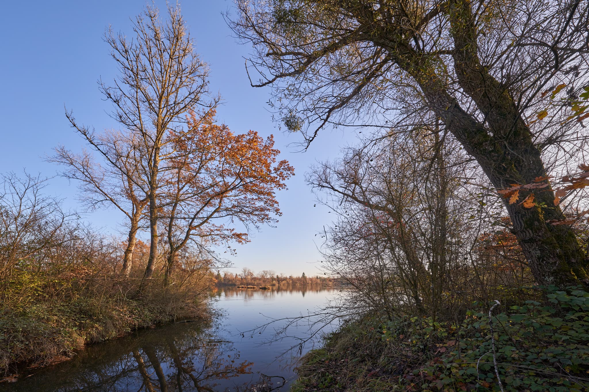 Herbstlicher Waldsee in Kirchdorf am Inn, Rottal-Inn. Ruhiges Wasser spiegelt Bäume mit herbstlichem Laub. Idyllische Naturkulisse in Niederbayern.