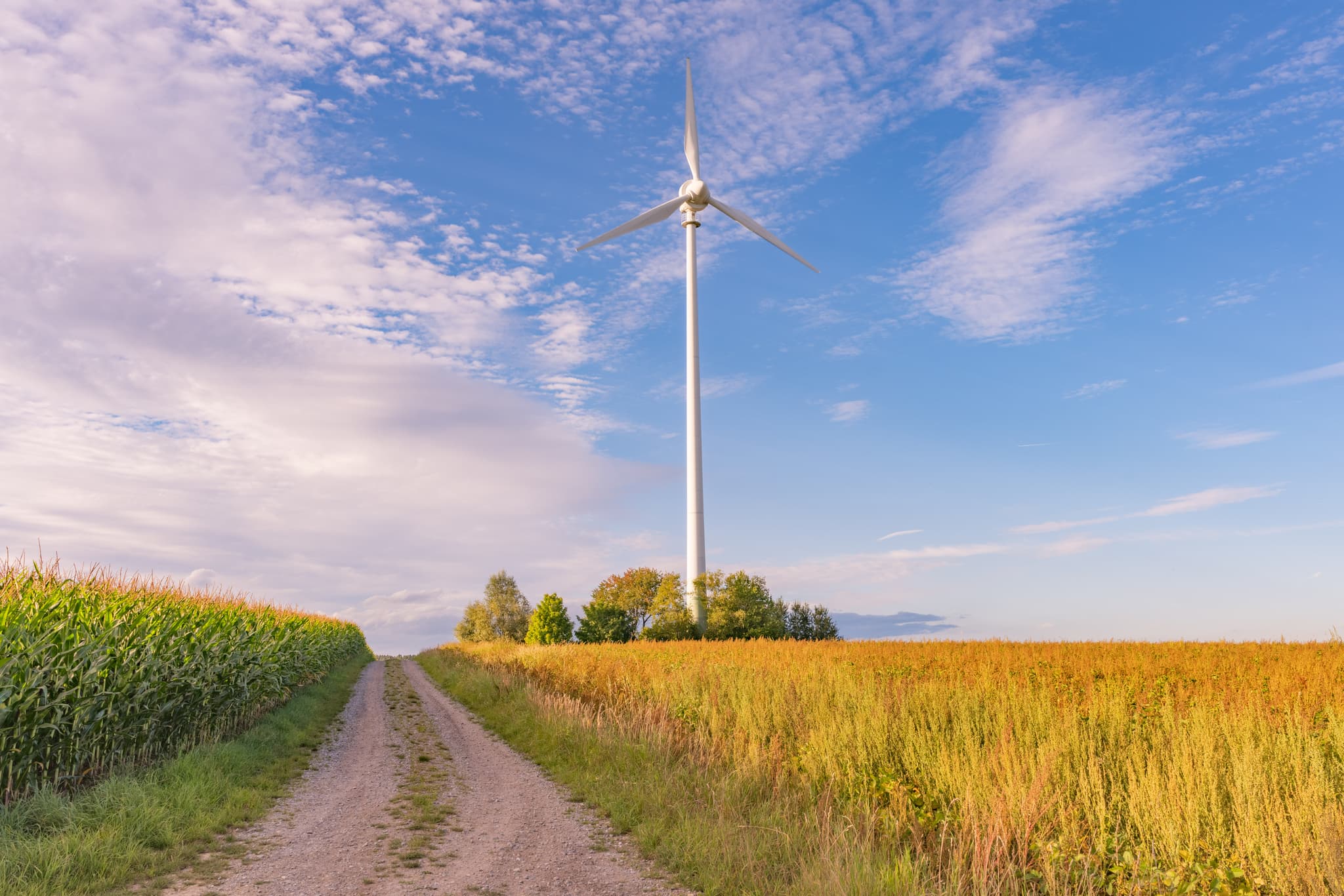 Windrad in einem Windpark bei Dirnaich, Gangkofen, Landkreis Rottal-Inn, Niederbayern. Typische Agrarlandschaft im Holzland, Deutschland.