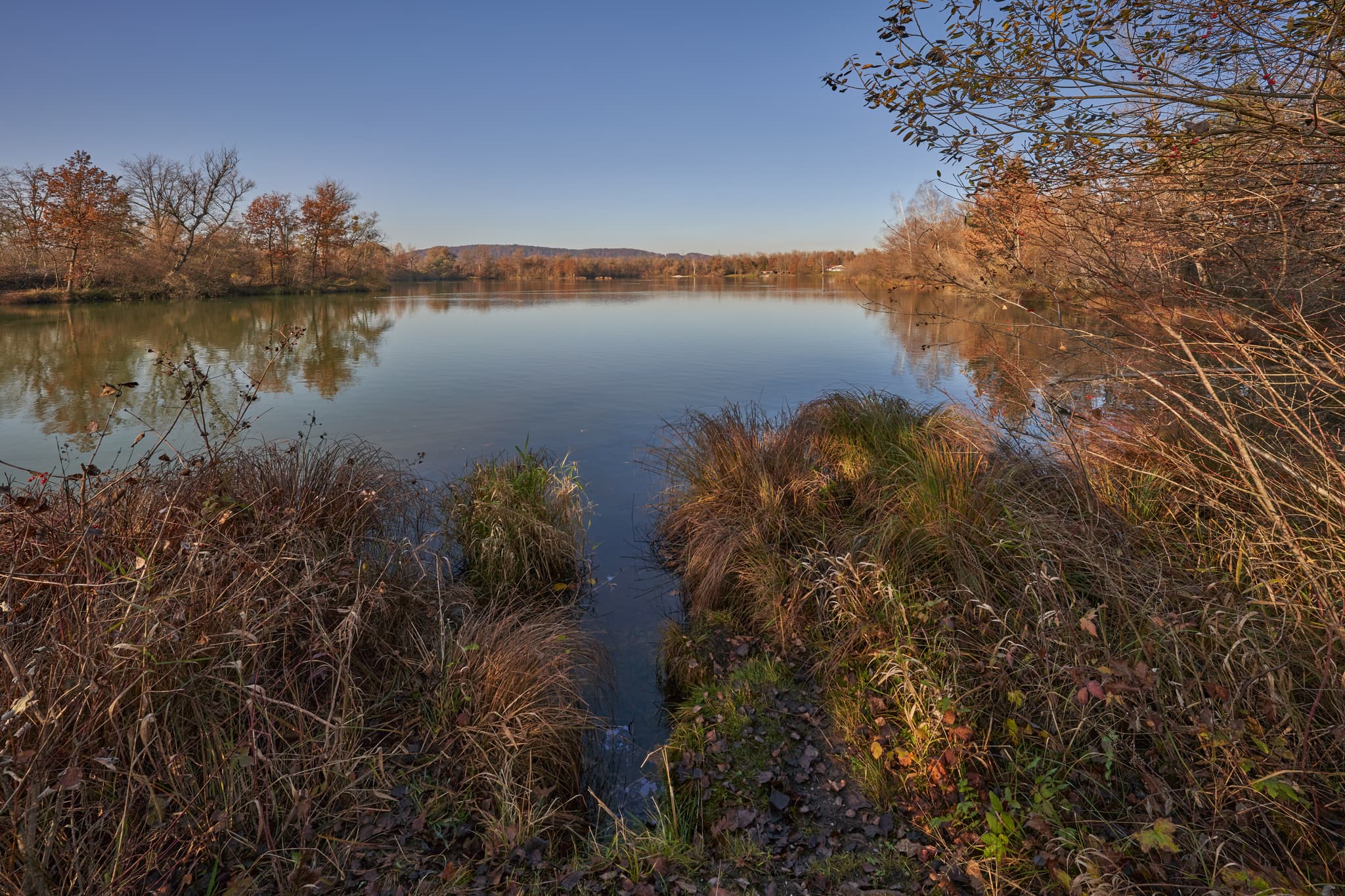 Idyllischer Waldsee im Herbst in Kirchdorf am Inn, Rottal-Inn, Niederbayern. Ruhige Naturlandschaft. Ufervegetation spiegelt sich im klaren Wasser wider.