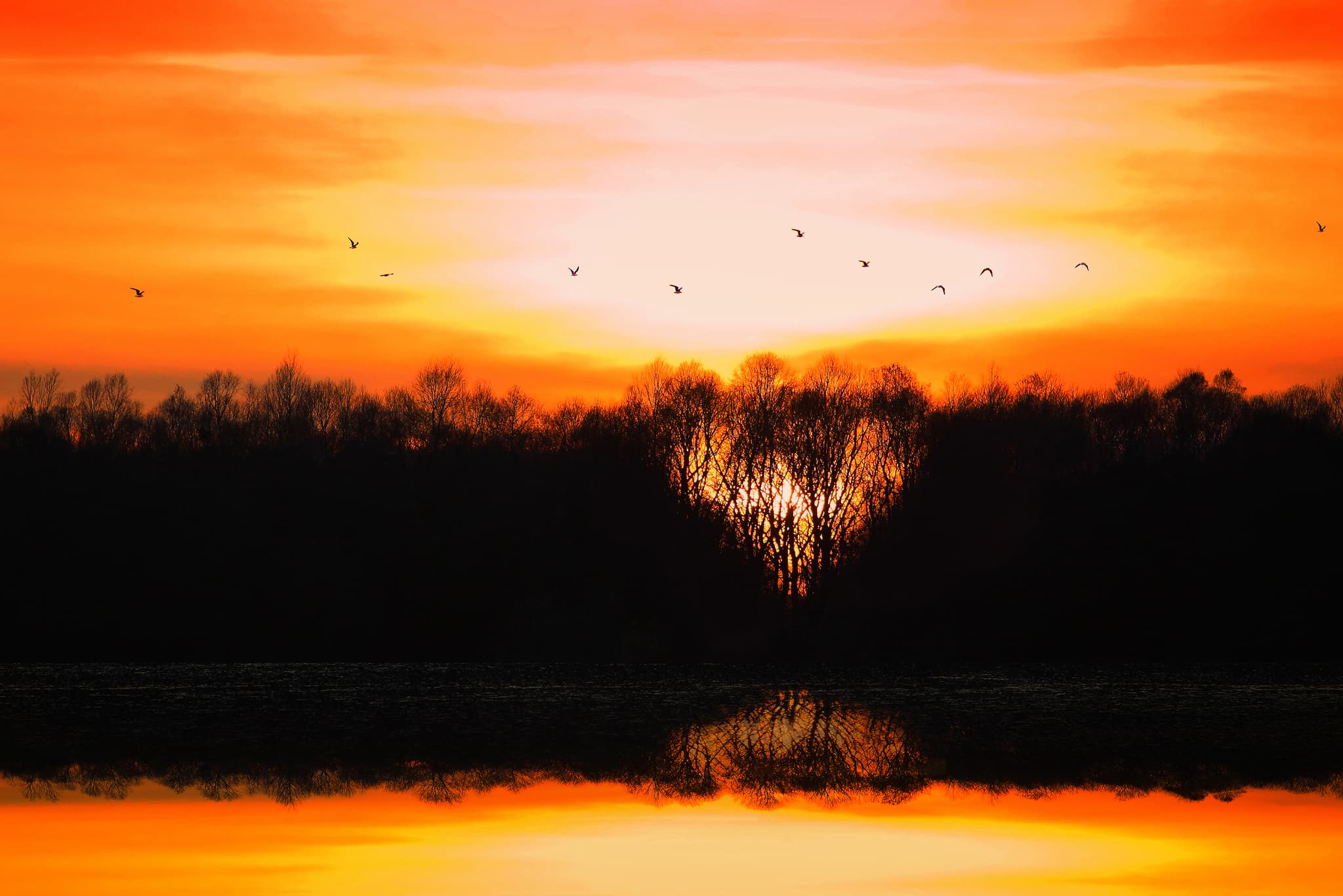 Herzlicher Sonnenuntergang am Europareservat Unterer Inn, Landschaft bei Ering am Inn, Rottal-Inn. Baumkulisse spiegelt sich im Wasser.