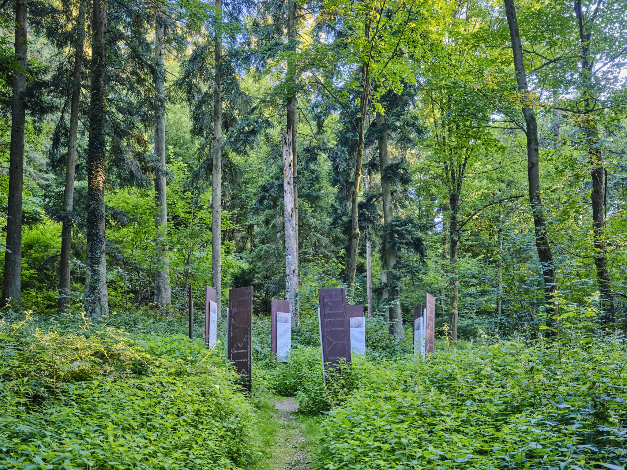 Baumerklärunggen an der Waldwunderwelt in Bad Griesbach, Landkreis Passau, Niederbayern, Bayern. Das Bild zeigt einen Waldweg mit mystischen Steinen.