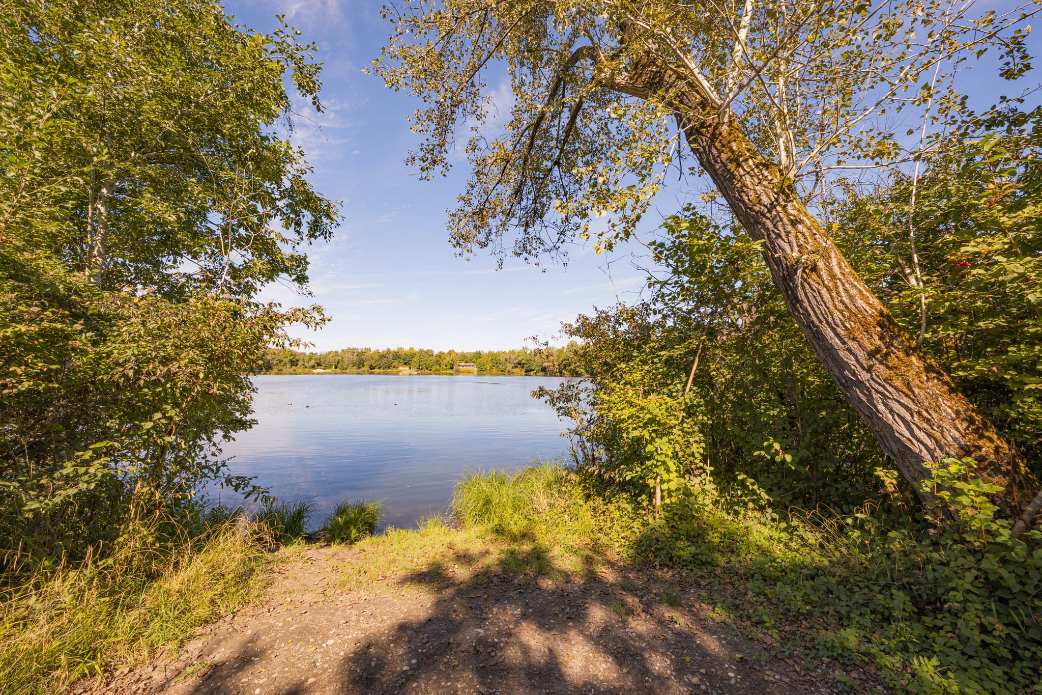 Ruhiger Waldsee in Kirchdorf am Inn, Rottal-Inn, Niederbayern. Natürliche Landschaft im Bäderdreieck, Deutschland. Klares Wasser, grüne Ufer, blauer Himmel.