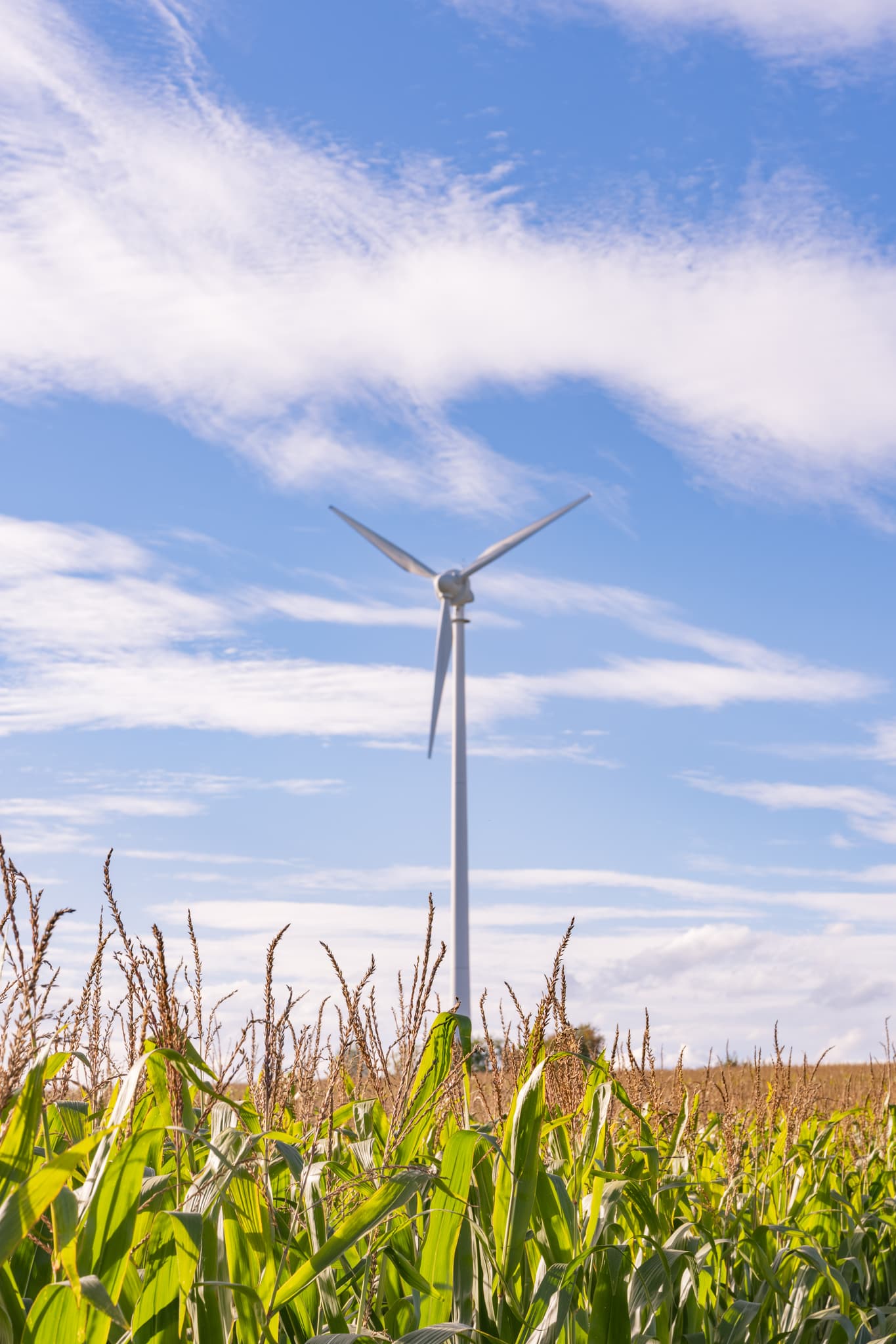 Windpark in Dirnaich bei Gangkofen, Landkreis Rottal-Inn, Niederbayern, Deutschland. Ländliche Landschaft des Holzland mit Fokus auf erneuerbare Energie.