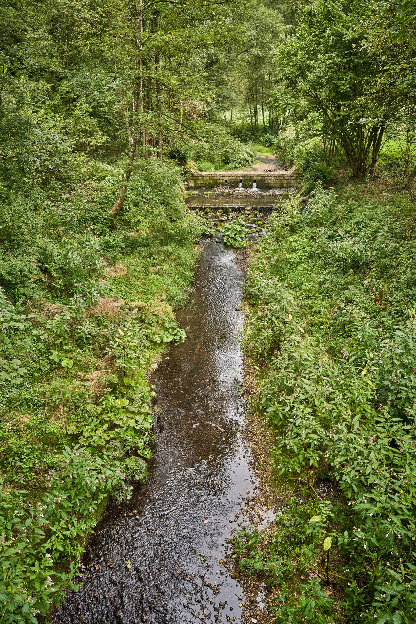 Reischach Bach, Brandmühle, Altötting, Oberbayern