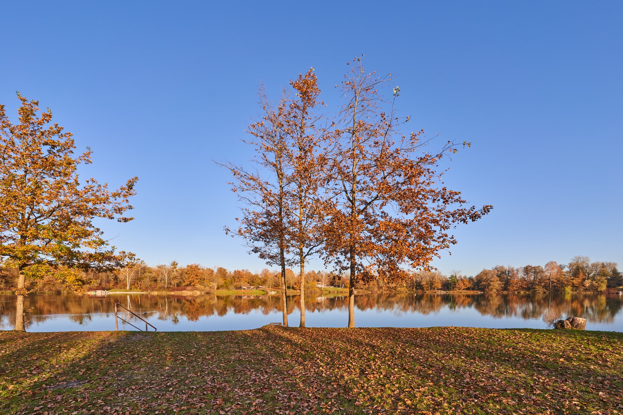 Herbstliche Szene am Waldsee Lago in Kirchdorf am Inn, Rottal-Inn. Ruhiger See, spiegelnde Bäume, blauer Himmel in Niederbayern.