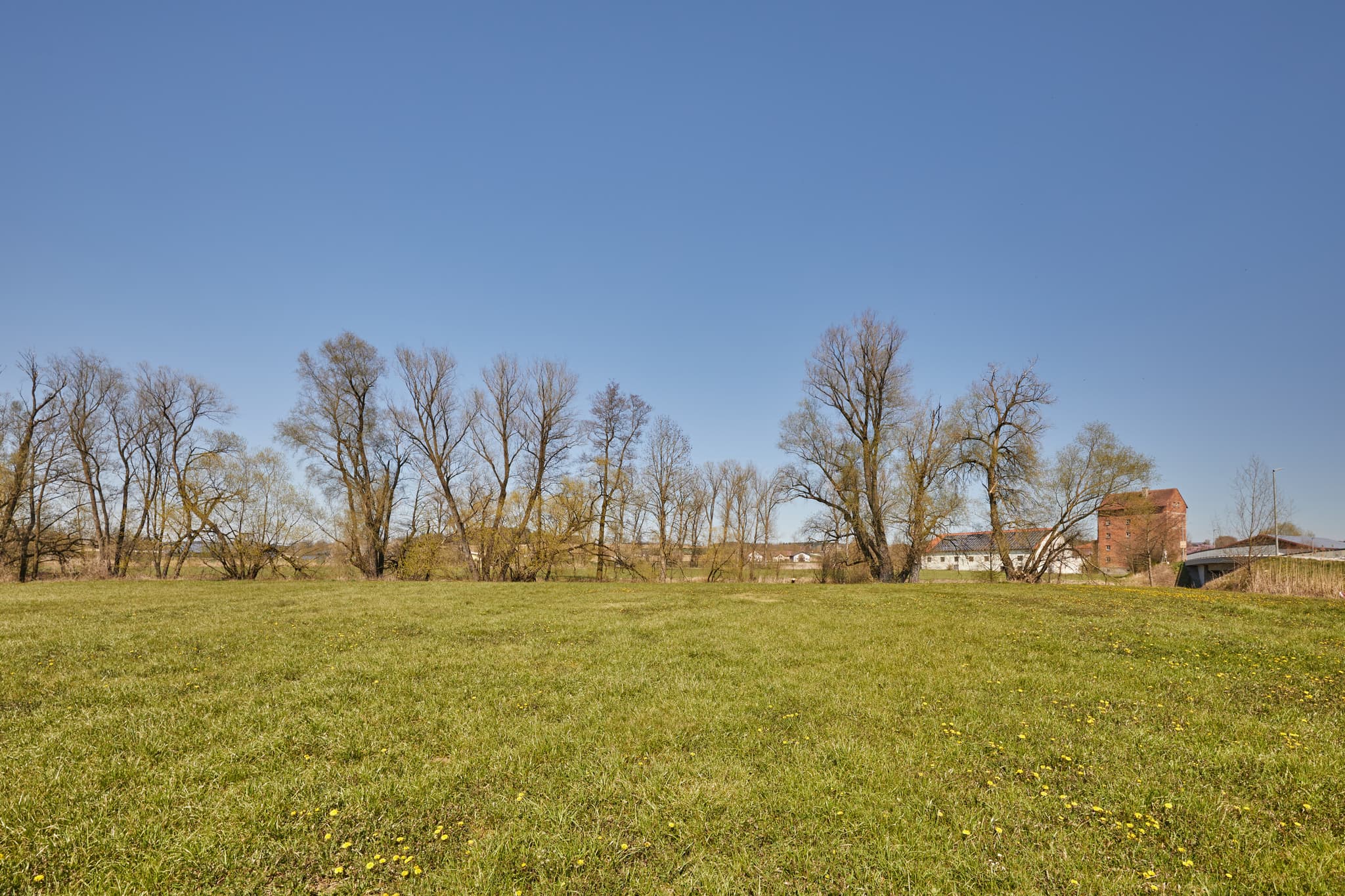 Grüne Wiesen und Bäume unter blauem Himmel in Unterdietfurt, Landkreis Rottal-Inn, Niederbayern. Typisches Landschaftsbild der Region Bäderdreieck, Deutschland.