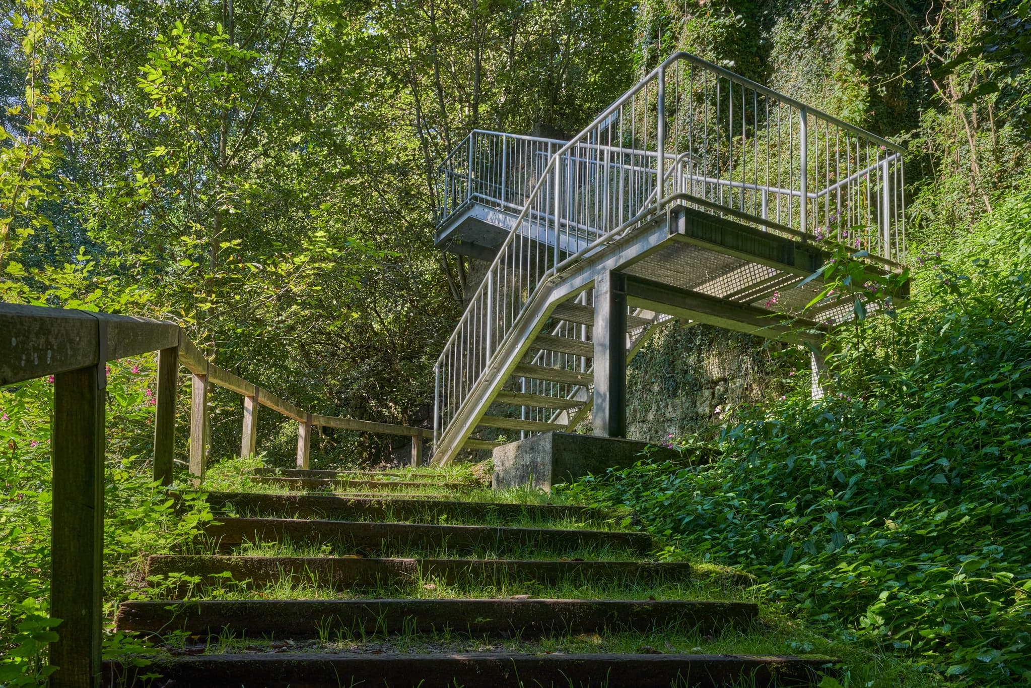 Treppe im Wald am Klostersteig bei Raitenhaslach, Gemeinde Burghausen, Landkreis Altötting, Oberbayern, Region Inn-Salzach, Bayern, Deutschland.