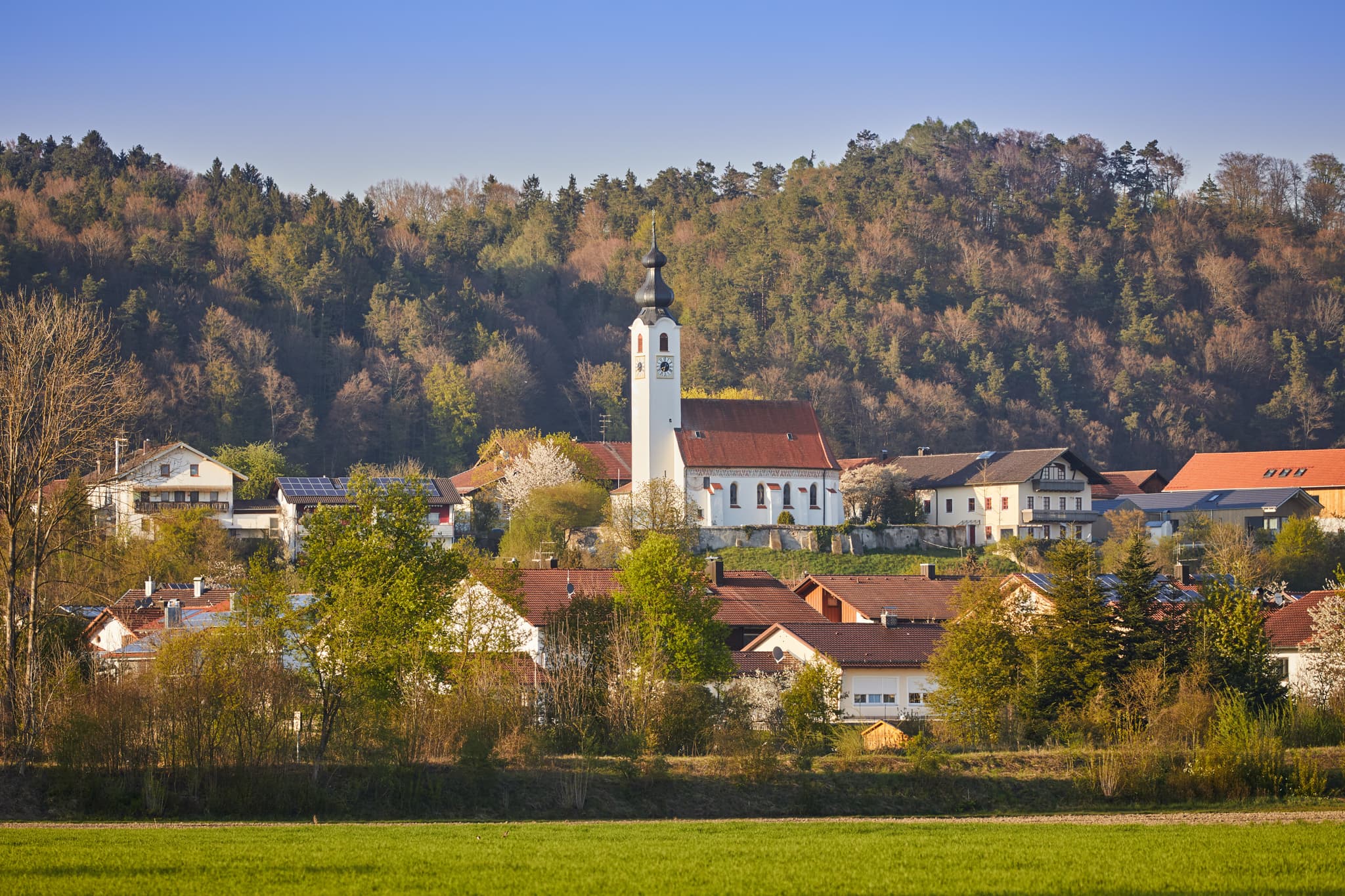 Pfarrkirche Mariä Himmelfahrt in Perach, Altötting, Oberbayern, Deutschland, Landschaft der Inn-Salzach Region. Sie ist umgeben von Feldern und Waldhügeln.