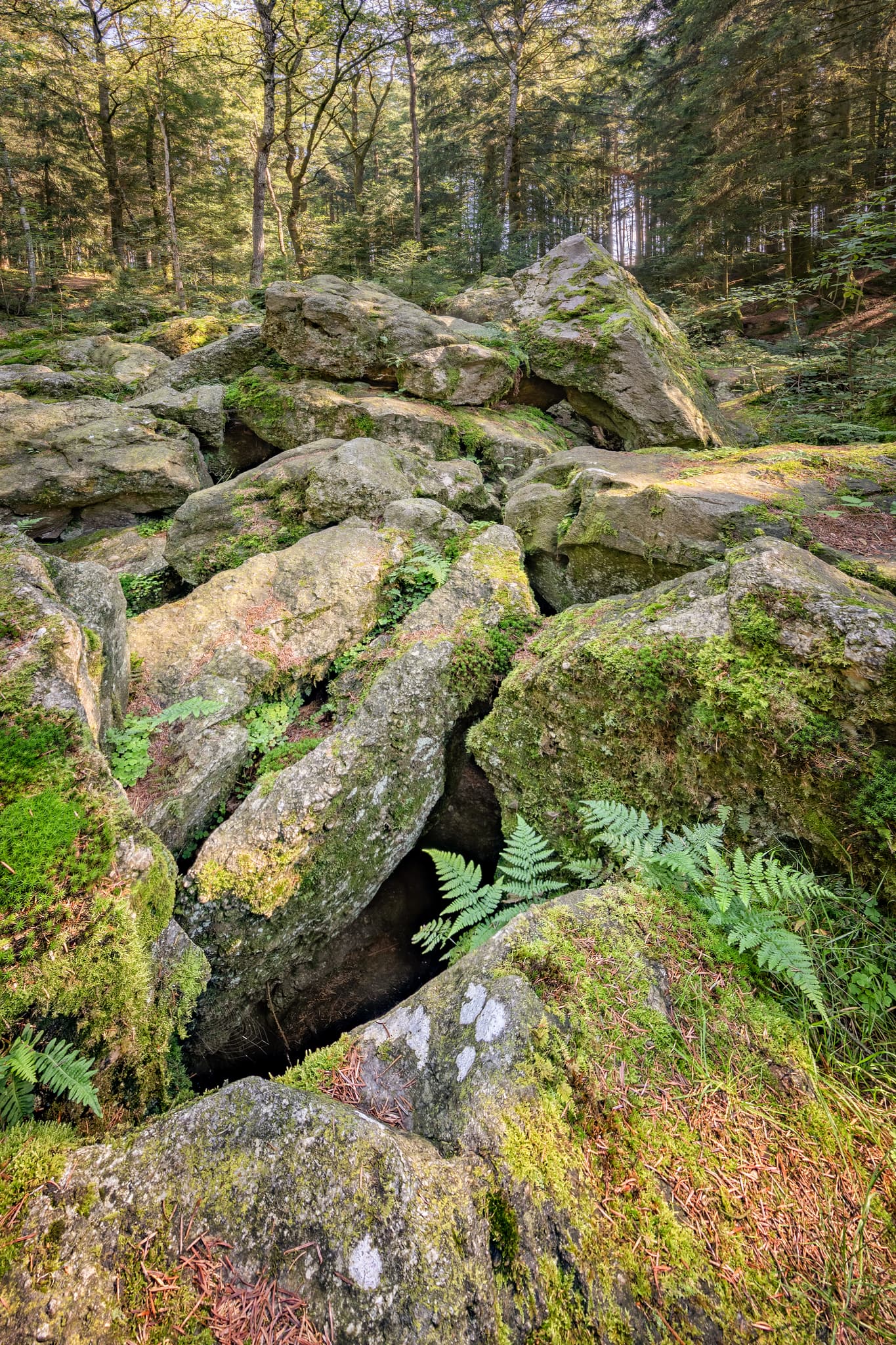 Waldgebiet mit großen Geröll-Steinen aus der Eiszeit in Voglarn bei Triftern, Rottal-Inn, Niederbayern, Holzland, Bäderdreieck, Deutschland.