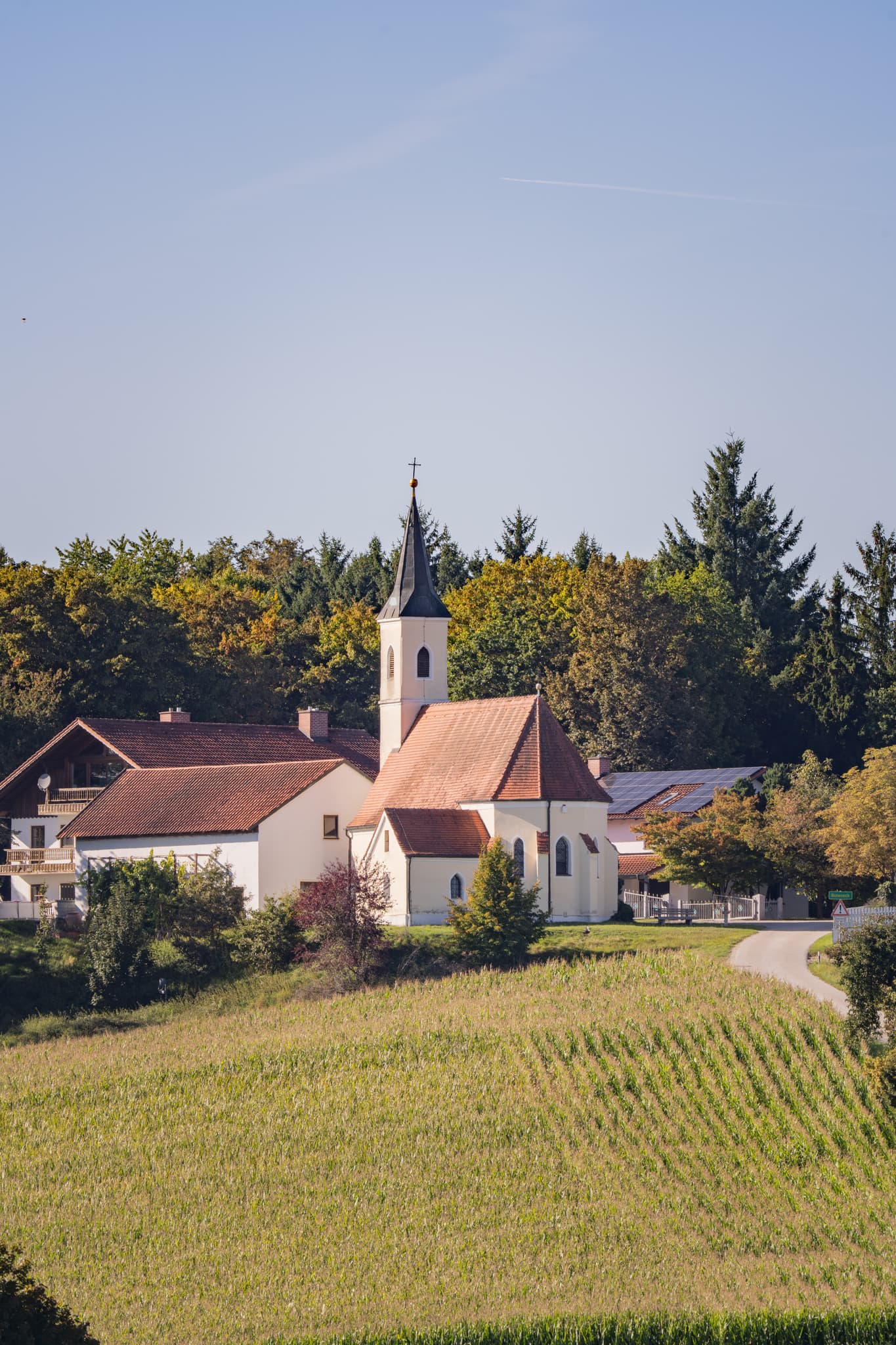 Blick von Schwaigeröd auf Guteneck,  Johanniskirchen, Rottal-Inn, Niederbayern, Deutschland. Kirche und Häuser sind von Feldern umgeben, Holzland.