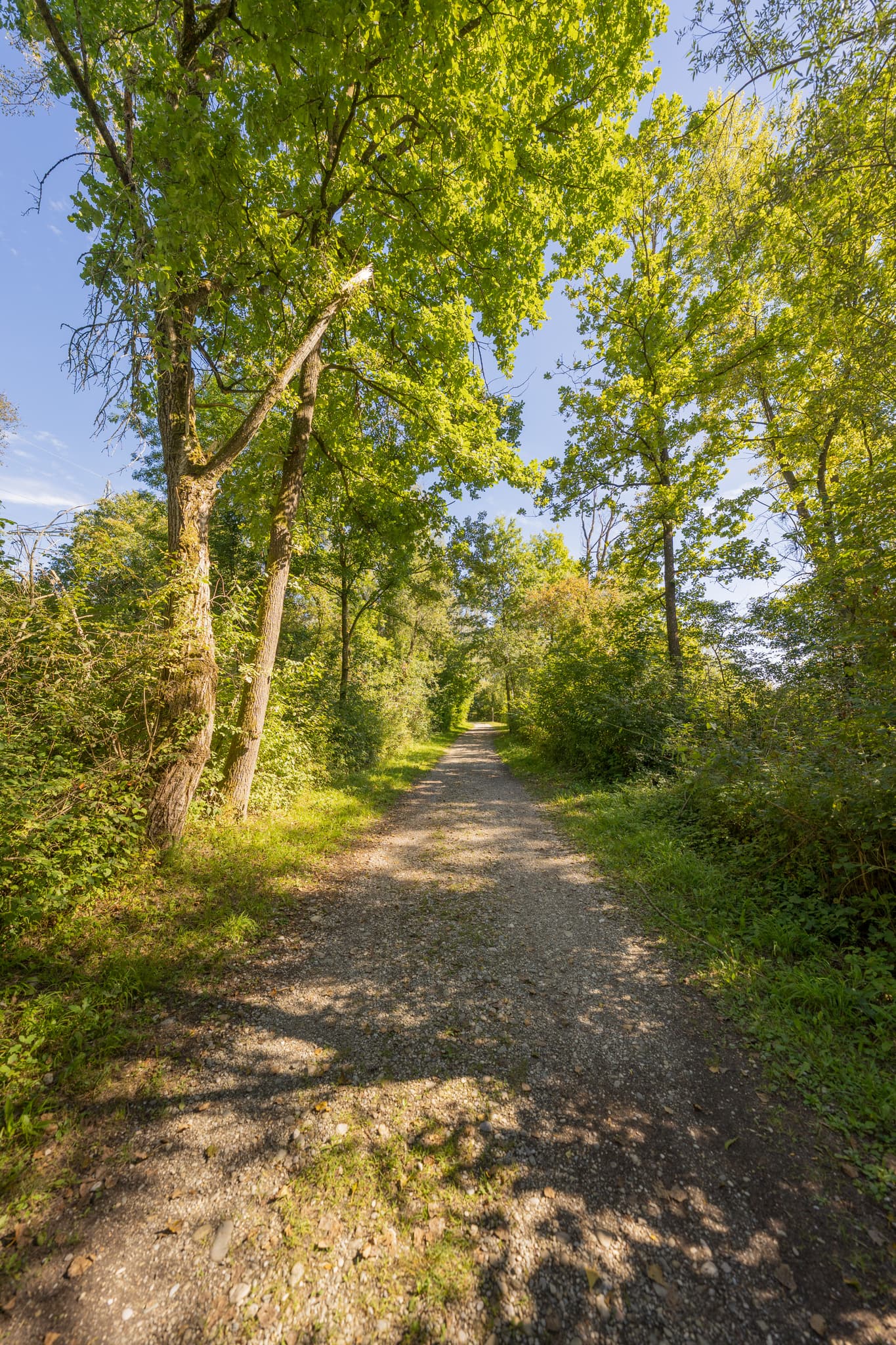 Waldweg in Kirchdorf am Inn, Landkreis Rottal-Inn, Niederbayern. Die Landschaft im Holzland, Deutschland, führt um den Waldsee, Badesee Simbach.