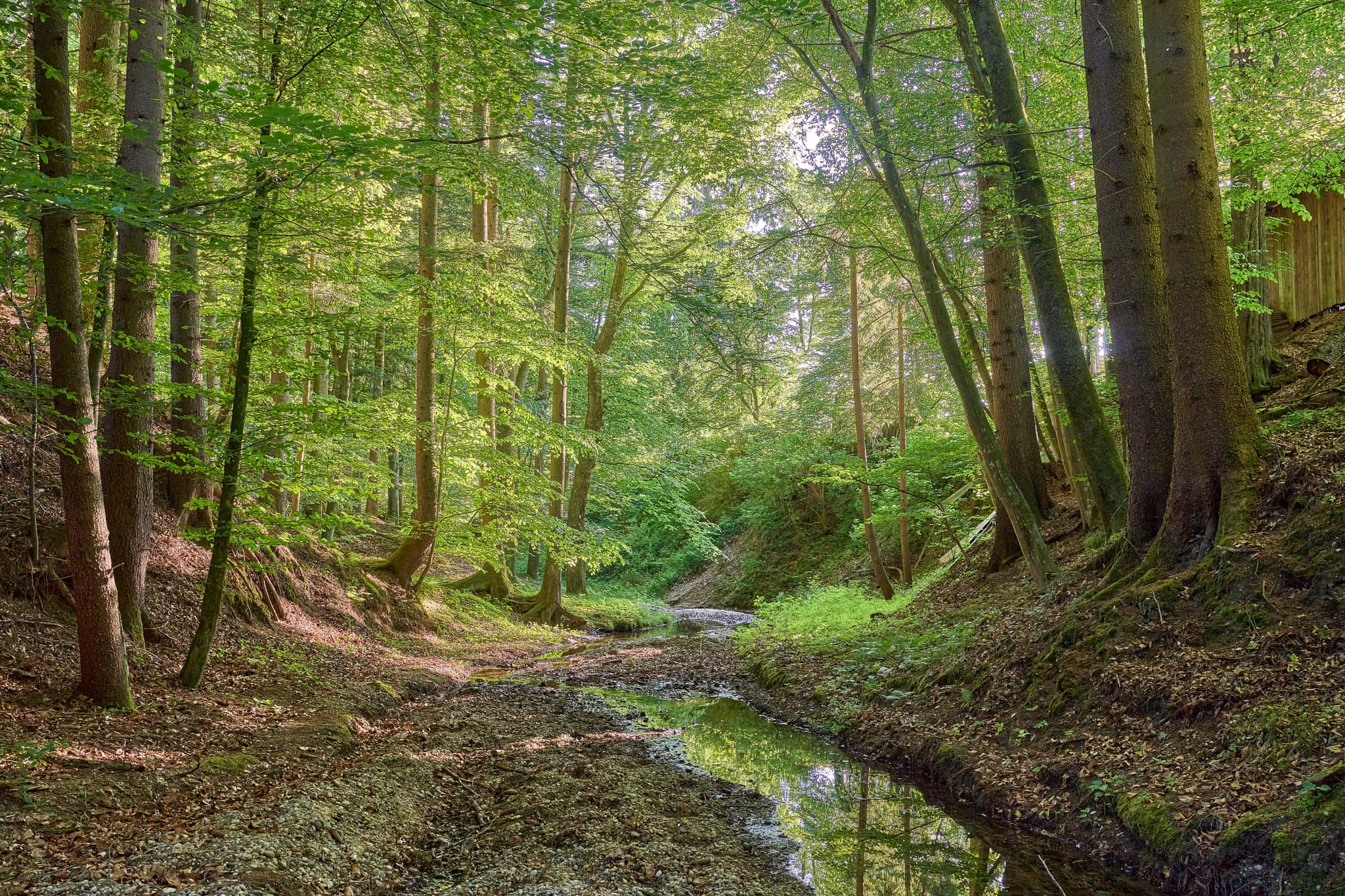 Landschaft am Morgen in Steinhausen, Erlbach, Landkreis Altötting, Oberbayern. Frühnebel bedeckt die Felder. Ein stiller Blick auf die Natur.