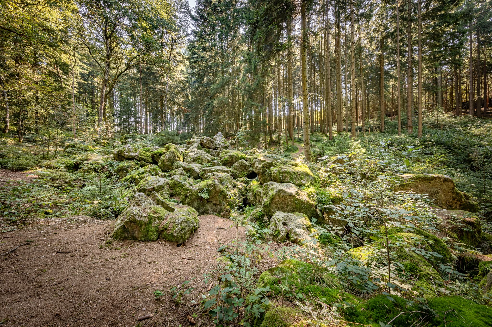 Geotop im Waldgebiet mit großen Geröll-Steinen aus der Eiszeit in Voglarn bei Triftern, Rottal-Inn, Niederbayern, Holzland, Bäderdreieck, Deutschland.
