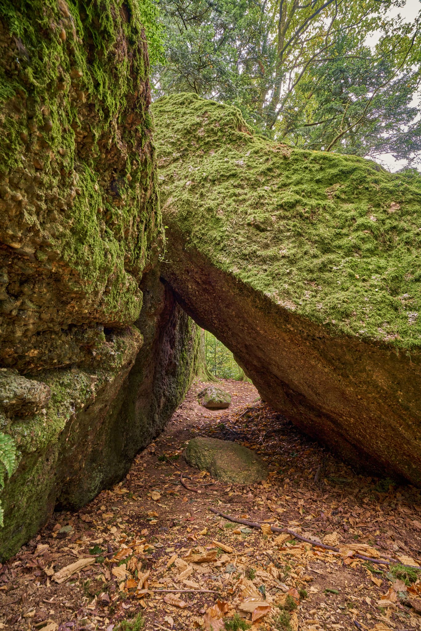 Teufelsstein in Bad Griesbach, Landkreis Passau, Niederbayern, Bayern, Deutschland. Das Bild zeigt Details der Felsstrukturen mit Farbreste.