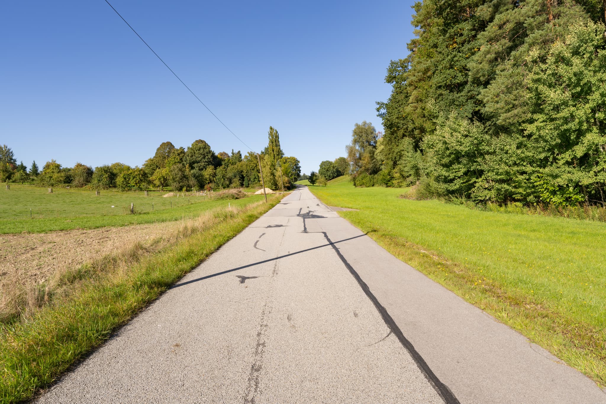 Ländliche Landschaft mit asphaltiertem Weg bei Lapperding, Johanniskirchen. Grüne Felder und Bäume im Holzland, Landkreis Rottal-Inn, Niederbayern, Deutschland.