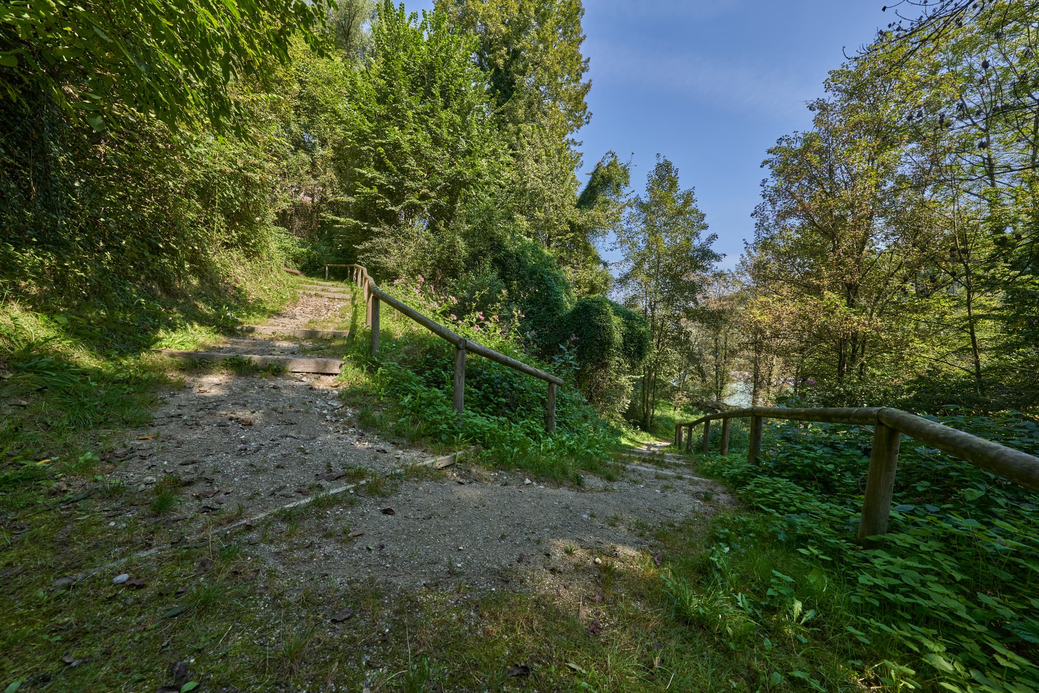 Klostersteig Wanderweg im Wald bei Raitenhaslach, Burghausen, Landkreis Altötting, Oberbayern, Region Inn-Salzach, Bayern.