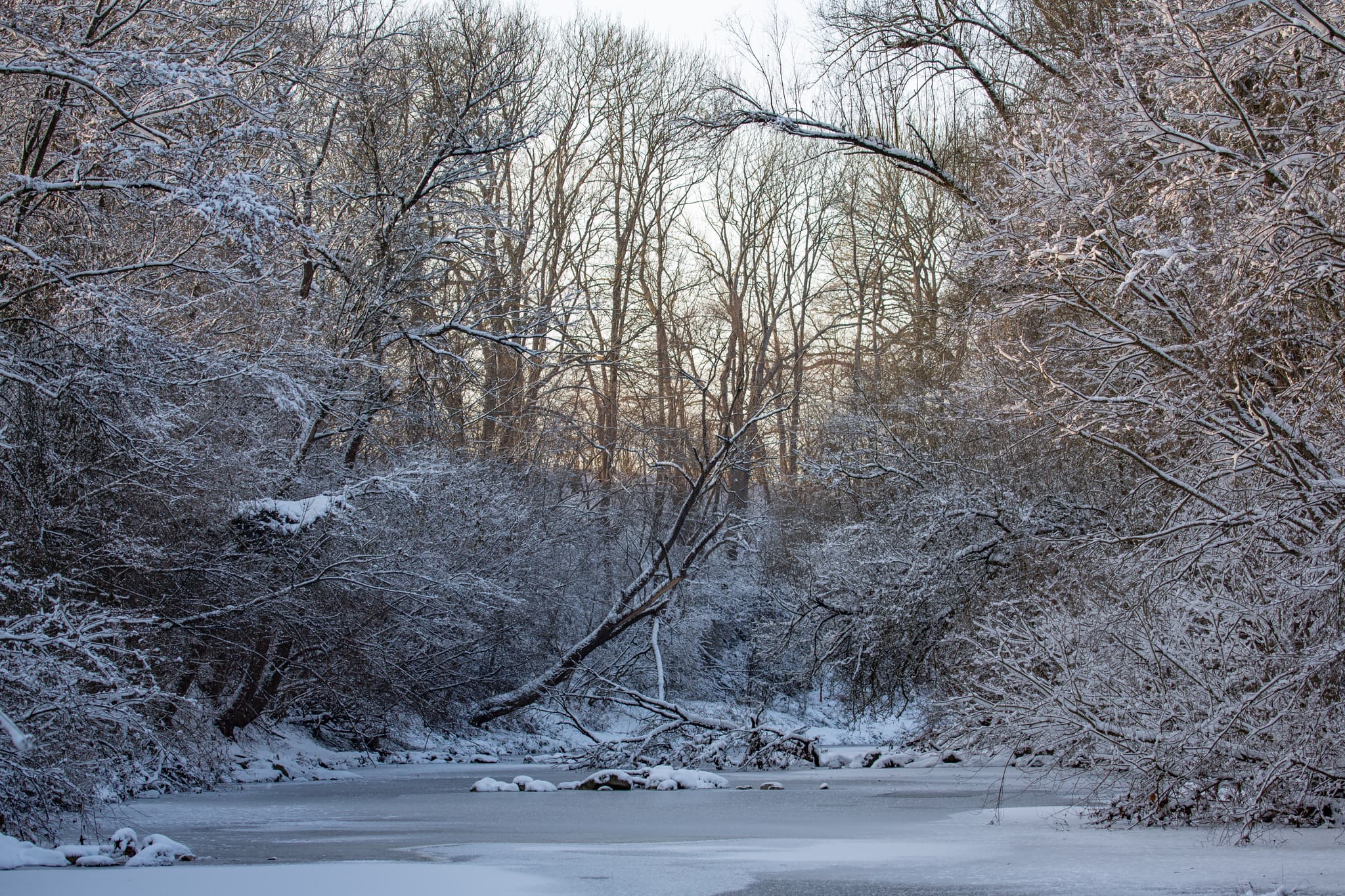 Winterliche Isen in Winhöring, Landkreis Altötting, Oberbayern, Deutschland. Die verschneite Landschaft zeigt gefrorene Gewässer und schneebedeckte Bäume.
