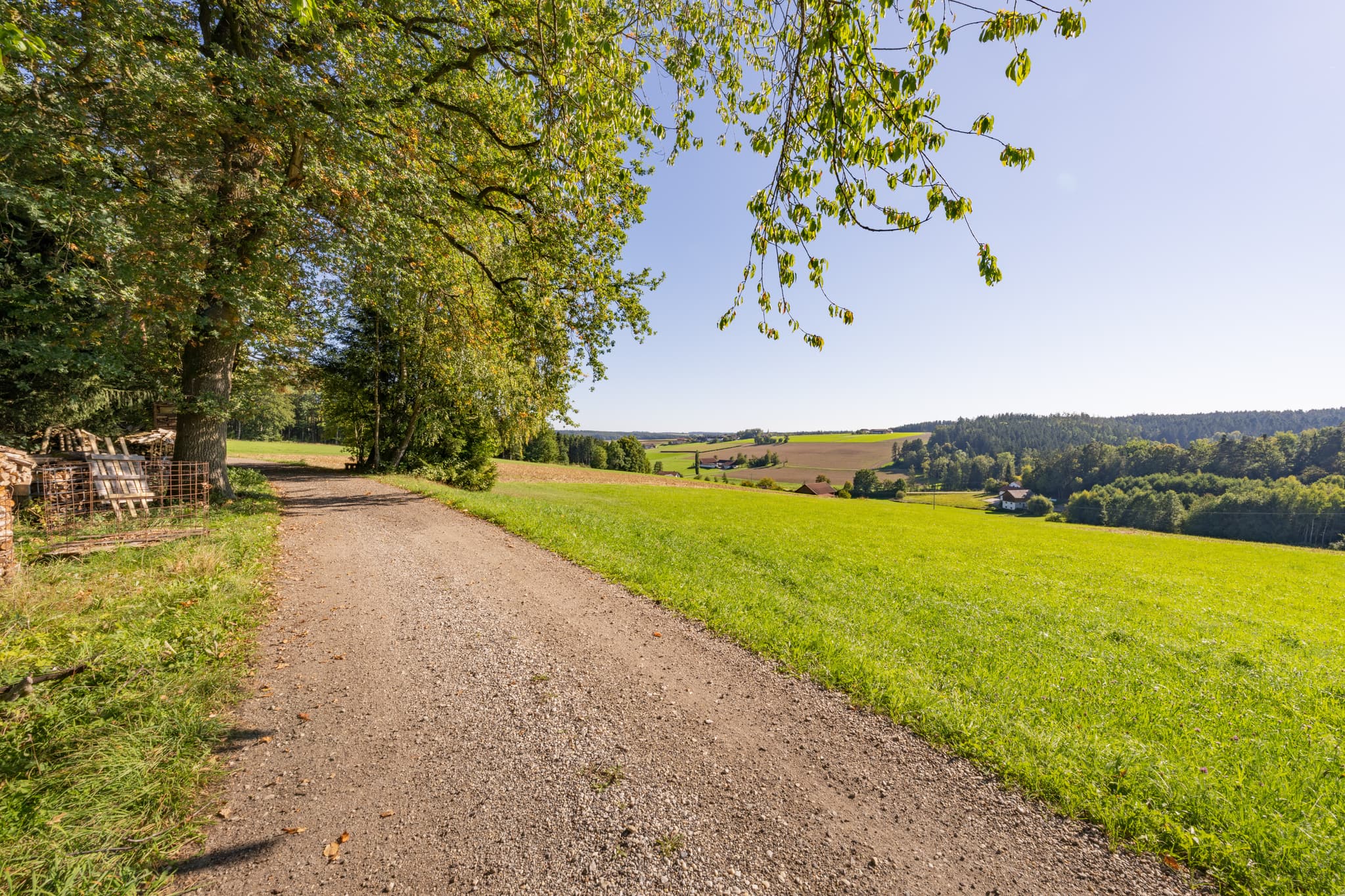 Schotterweg durch grüne Felder bei Guteneck, Johanniskirchen im Landkreis Rottal-Inn. Typische ländliche Landschaft im Holzland, Niederbayern, Deutschland.