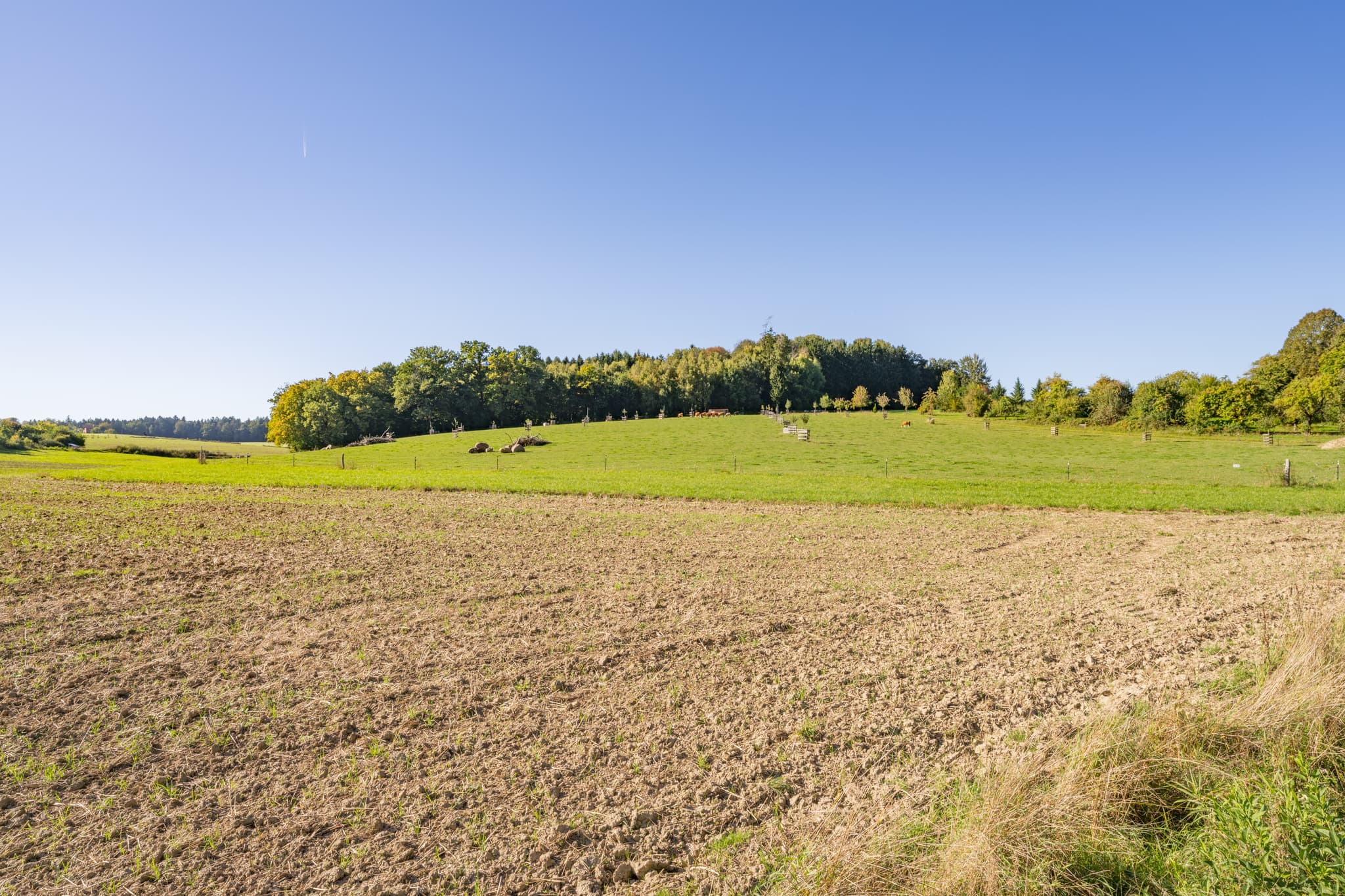 Blick auf ländliche Landschaft nahe Lapperding im Landkreis Rottal-Inn, Niederbayern. Die Szenerie zeigt Ackerflächen, Wiesen und Wälder im Holzland.