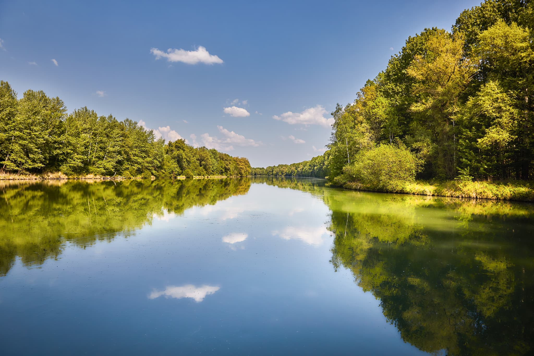 Flusslandschaft am Inn Radweg bei Alzgern, Neuötting, Altötting, Oberbayern, Inn-Salzach Region, Deutschland, mit bewaldeten Ufern und Wasserspiegelungen.