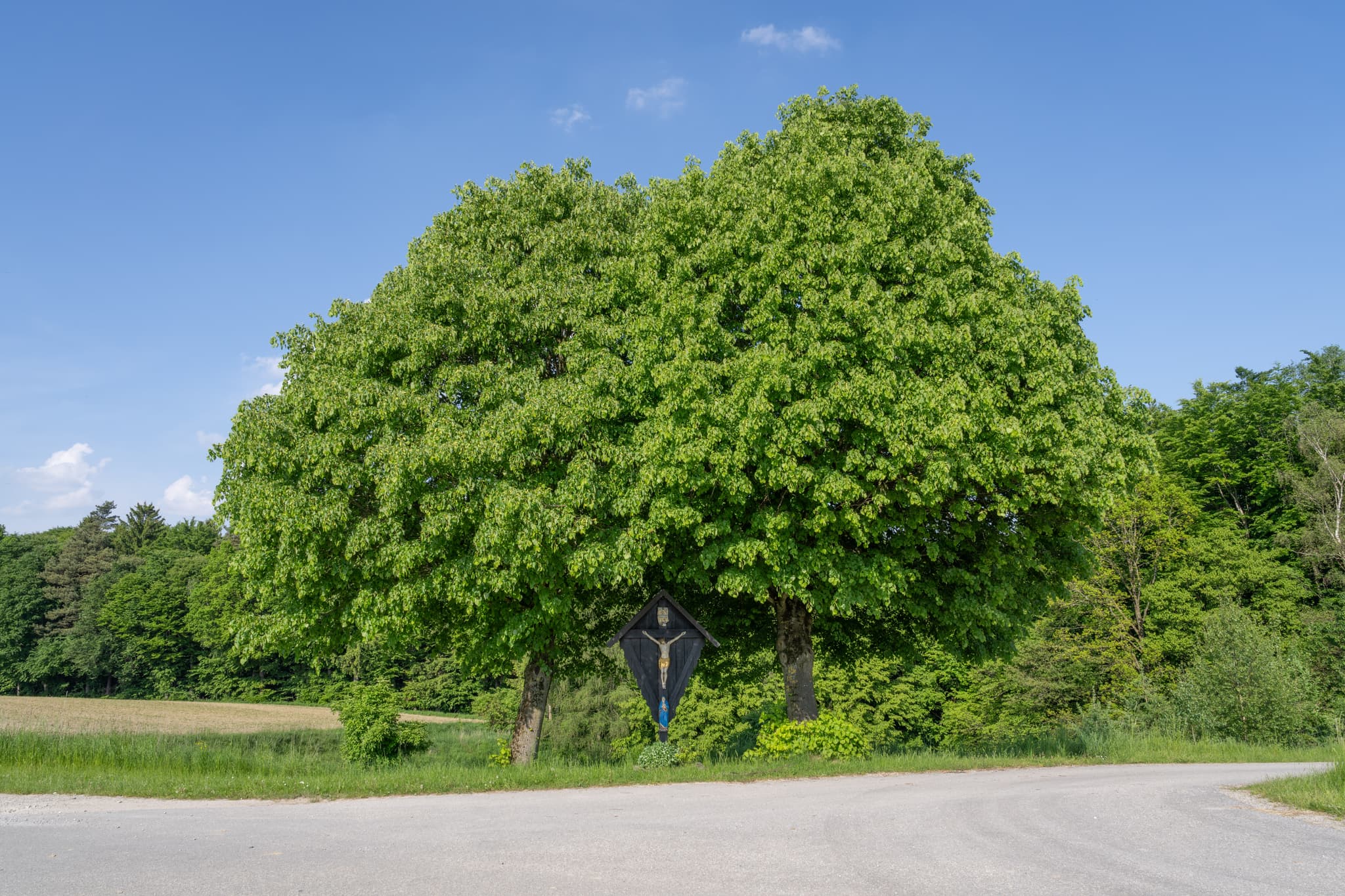 Flurkreuz unter Bäumen an Weggabelung in Friesing, Reischach, Landkreis Altötting, Oberbayern, Region Inn-Salzach, Deutschland. Ländliche Gegend.