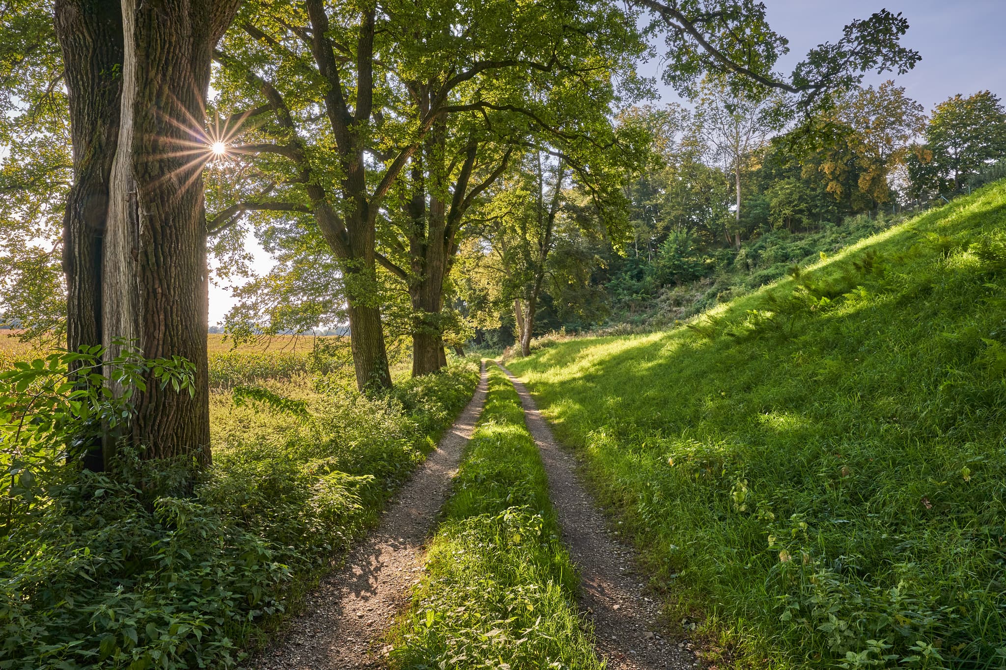 Idyllischer Wanderweg am Schlosshang bei Winhöring, Altötting, Oberbayern, Inn-Salzach, Deutschland. Ein sonniger Weg durch die Naturlandschaft.