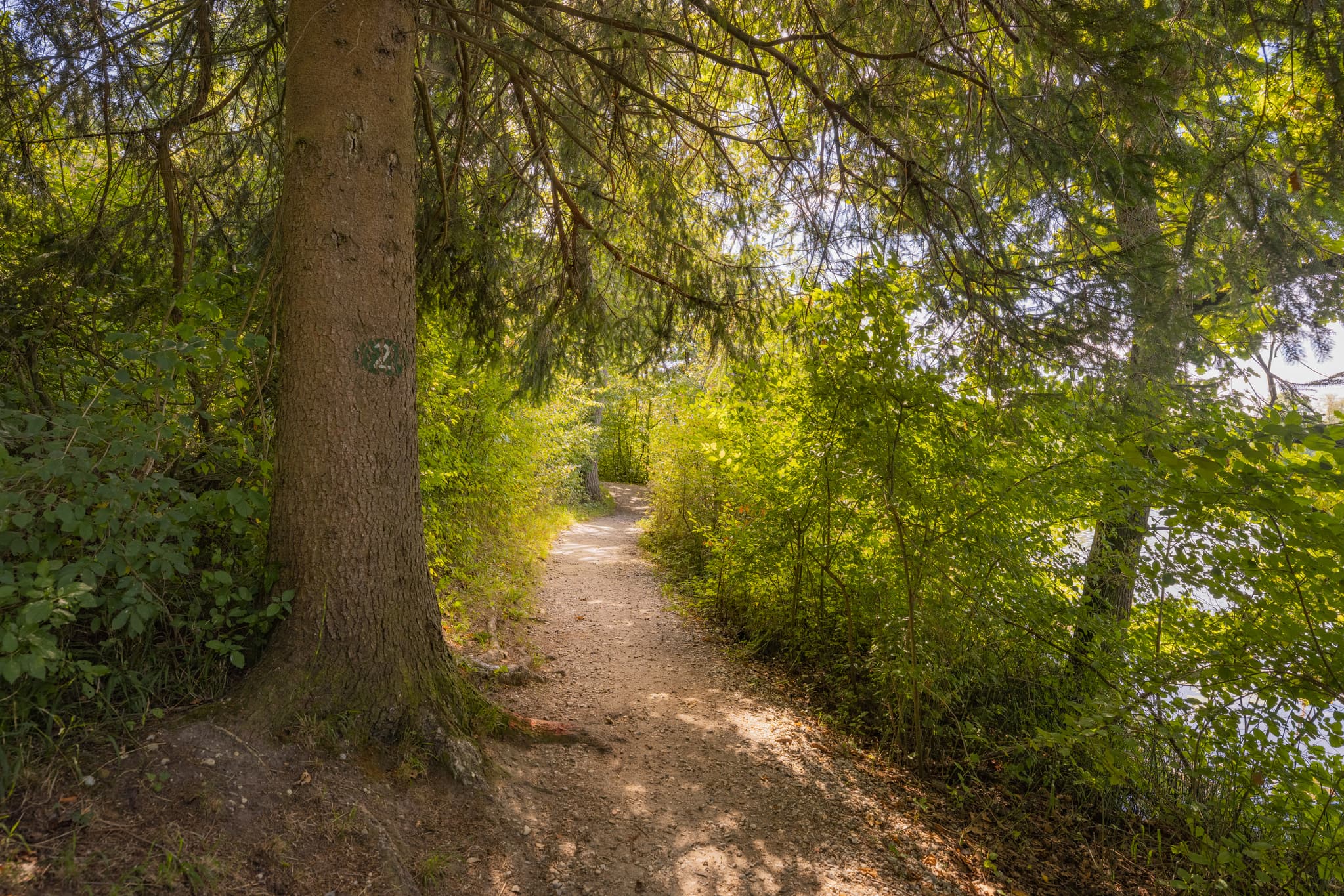 Waldweg am Badesee Simbach nahe Kirchdorf am Inn in Rottal-Inn, Niederbayern. Die Bäderdreieck-Region in Deutschland bietet Natur am Wasser.