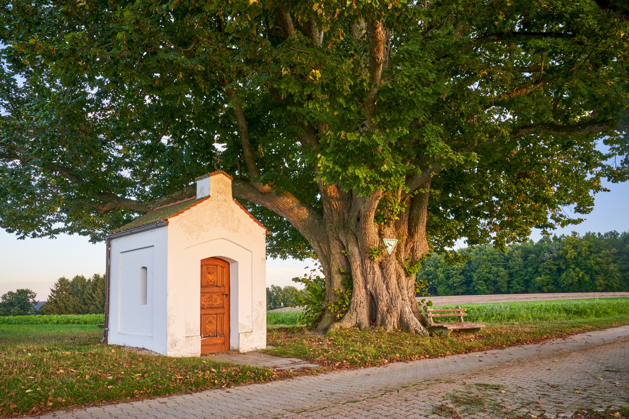 Bild einer Kapelle unter einer Linde in Schmidhub bei Perach, Oberbayern, Deutschland. Region Inn-Salzach. Idyllisches Landschaftsfoto.