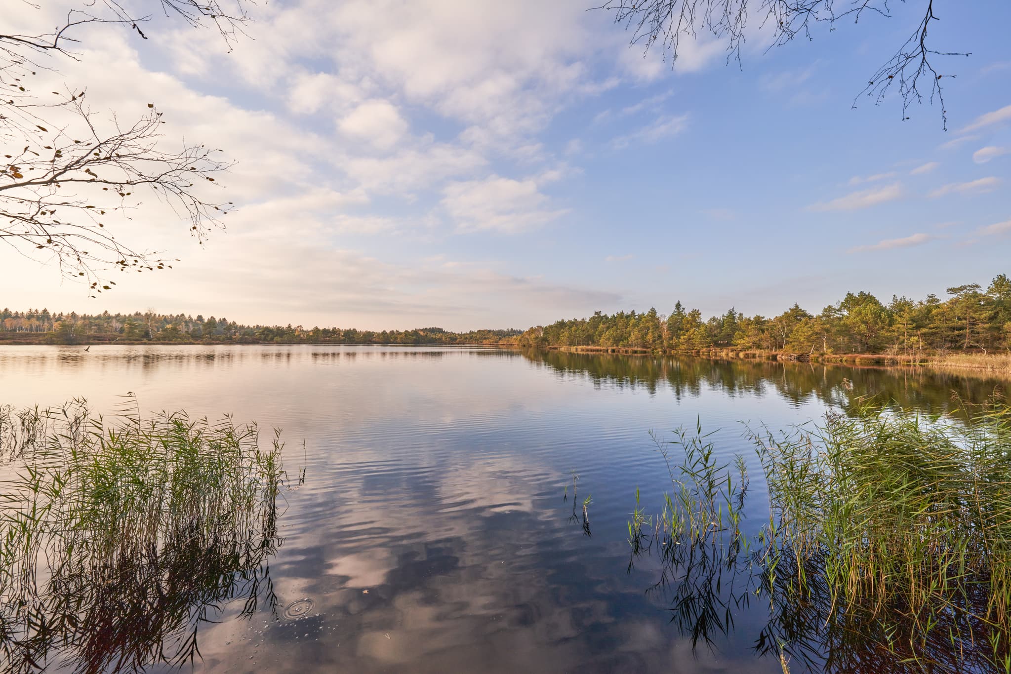 Moorsee im Schönramer Filz bei Petting, Landkreis Traunstein, Oberbayern. Die Landschaft im Chiemgau, Deutschland, zeigt Schilf, Wald und Reflexionen.