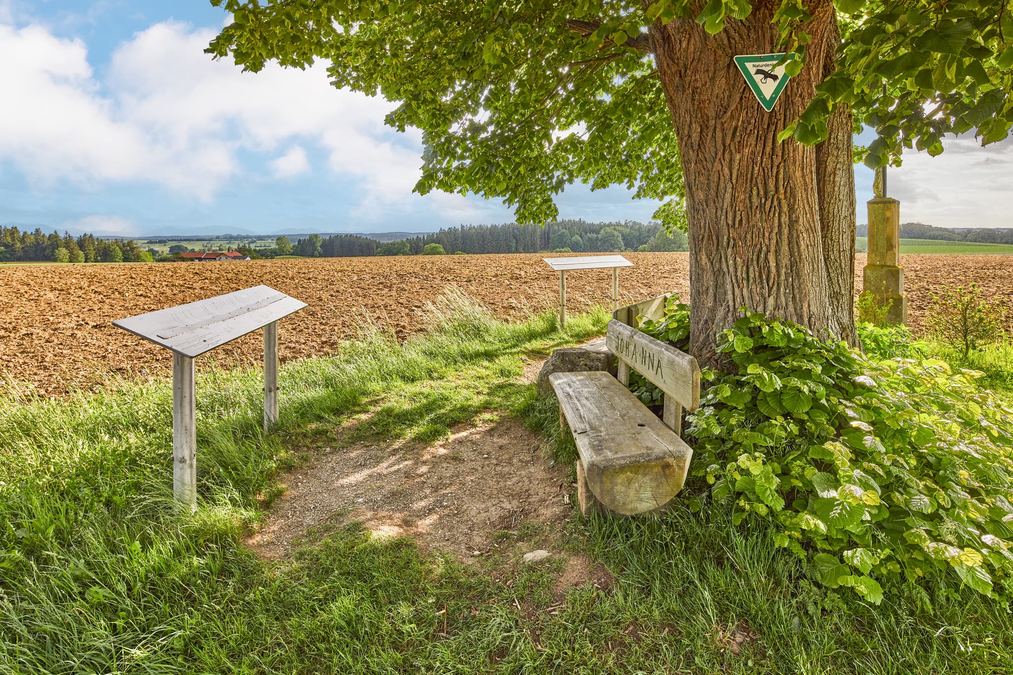 Wald-Aussichtspunkt Kobeln nahe Garching, Altötting, Oberbayern, Region Inn-Salzach, Deutschland. Bank unter Baum bietet Blick über weite Felder und Landschaft.