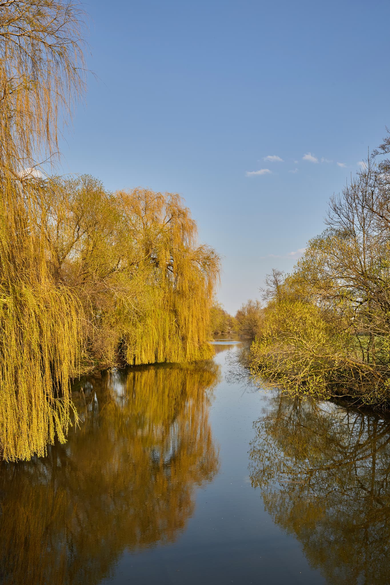 Landschaftliche Aufnahme der Rott mit Weidenbäumen in Oberdietfurt, Gemeinde Massing. Landkreis Rottal-Inn, Niederbayern, Region Holzland, Deutschland.