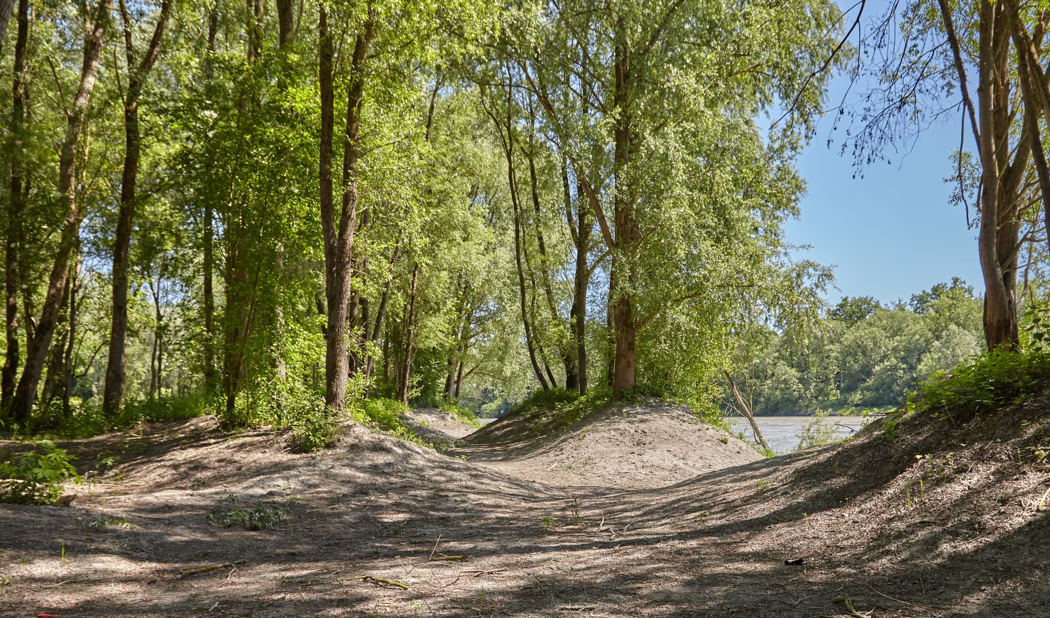 Grüne Waldlandschaft mit sandigen Hügeln am Inn-Ufer bei Ecksberg, Mühldorf am Inn. Naturkulisse Oberbayern, Deutschland, typisch für Inn-Salzach-Region.