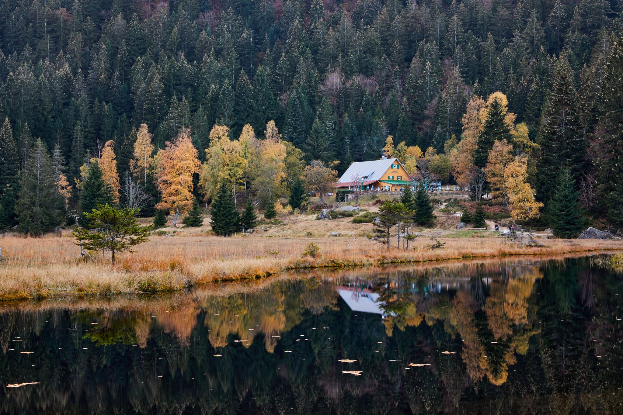 Kleiner Arbersee in Lohberg, Landkreis Cham, Oberpfalz, Deutschland. Hütte und Herbstwald am Ufer. Die Landschaft des Bayerischen Waldes.