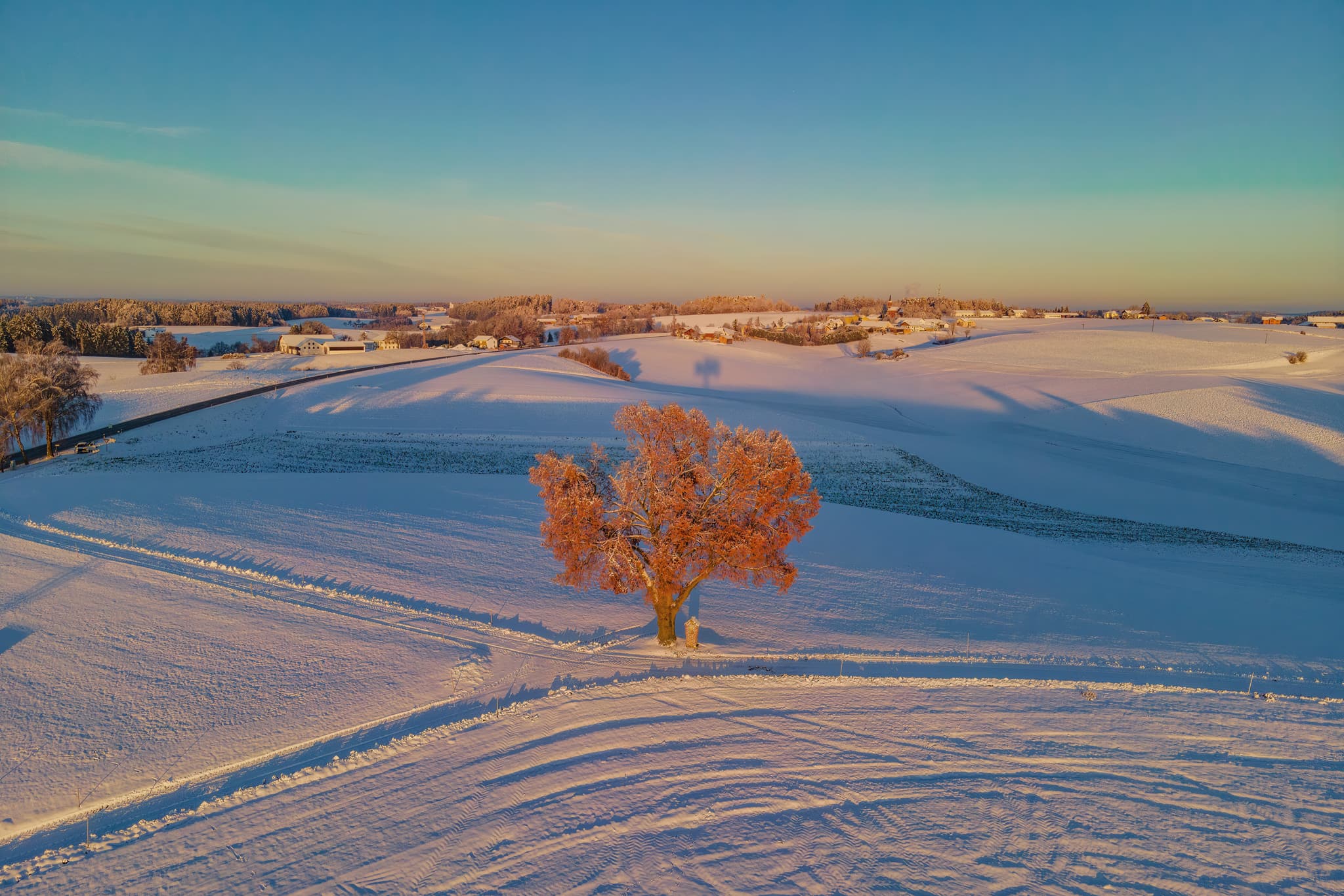 Winterlandschaft bei Wald bei Winhöring, Ortsteil von Pleiskirchen, Landkreis Altötting, Oberbayern, Inn-Salzach, Deutschland. Verschneiter Baum im Sonnenlicht.