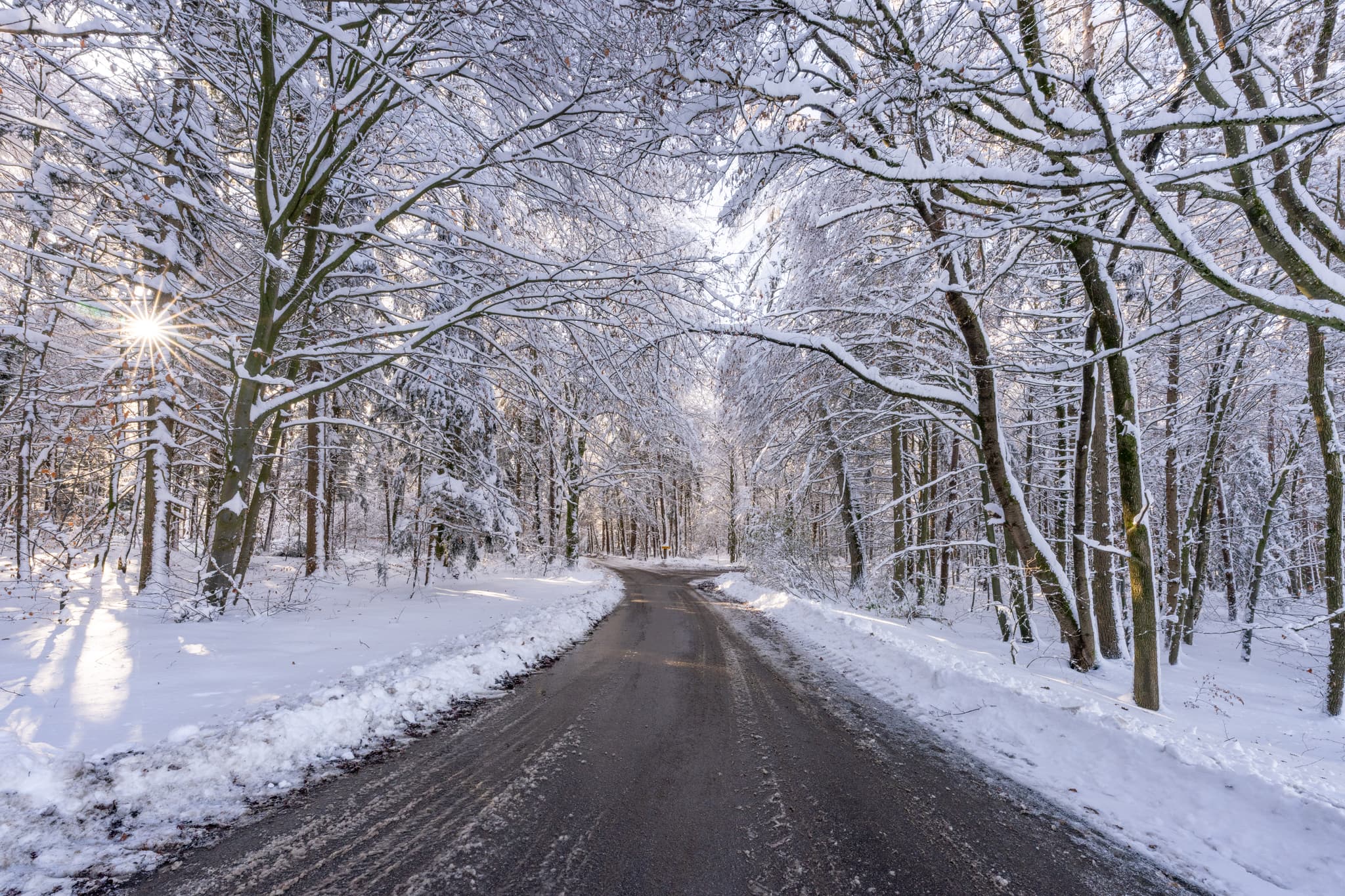 Winterlicher Waldweg in Eisenbuch, Erlbach, Landkreis Altötting, Oberbayern. Sonnenstrahlen durch verschneite Bäume prägen die idyllische Landschaft.