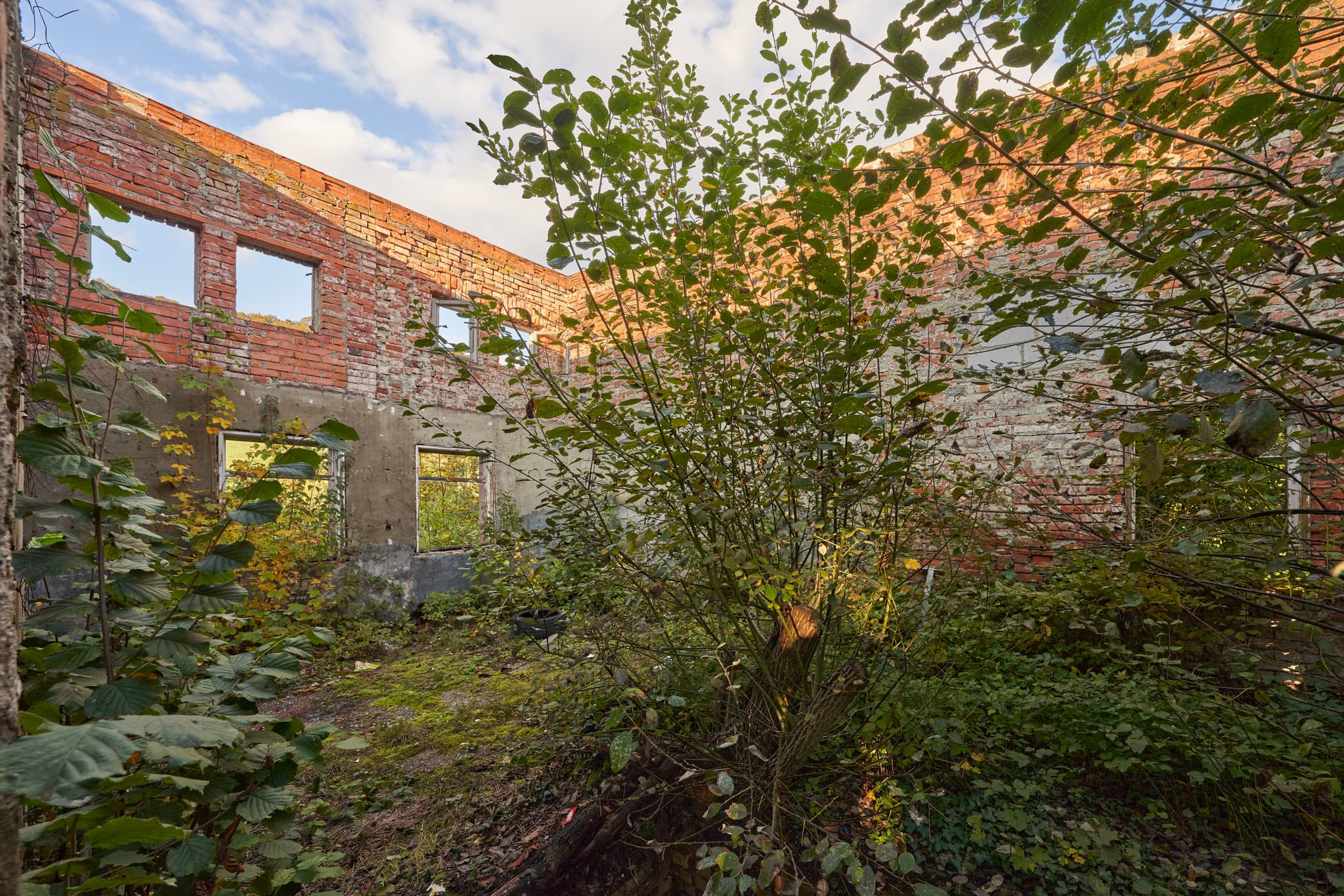 Verfallenes Gebäude mit Backsteinmauern und überwucherter Vegetation in Eisenfelden, Bahnhof Neuötting, Winhöring, Altötting, Oberbayern, Region Inn-Salzach.