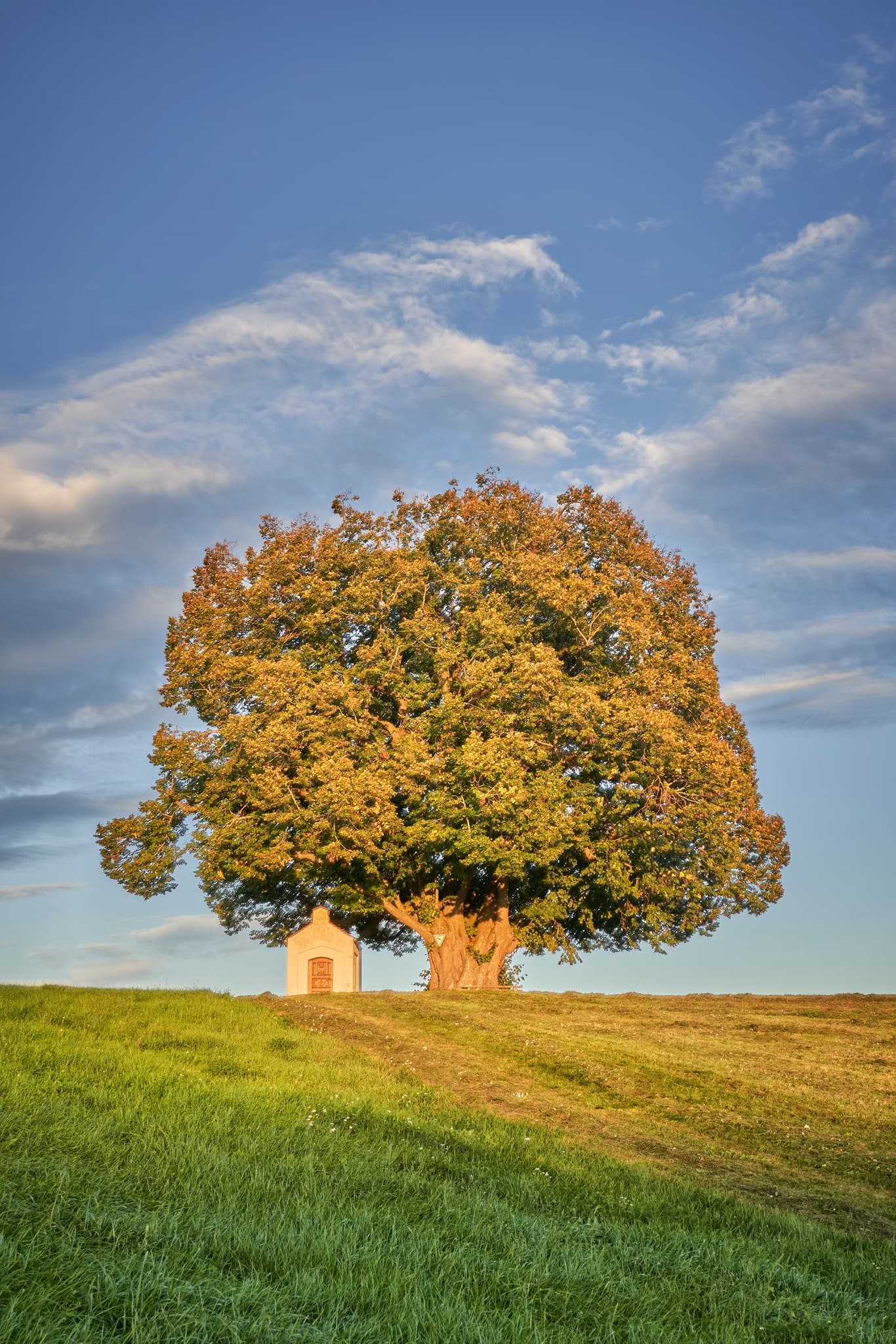 Kapellenlinde auf einem Hügel bei Berg in Perach, Altötting, Oberbayern, Region Inn-Salzach, Deutschland. Motiv zeigt Baum und Kapelle.