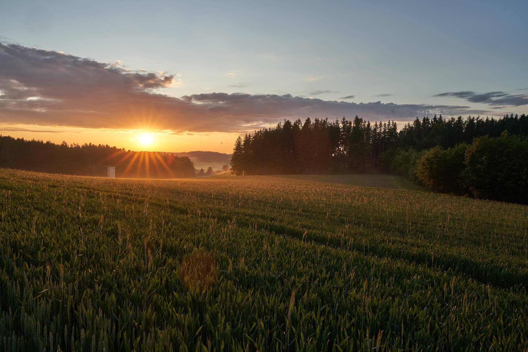 Sonnenuntergang über Feldern, Wald. Hoheneck, Reischach, Altötting, Oberbayern. Inn-Salzach-Region, Deutschland. Sanfte Hügel, goldenes Licht, Bodennebel.