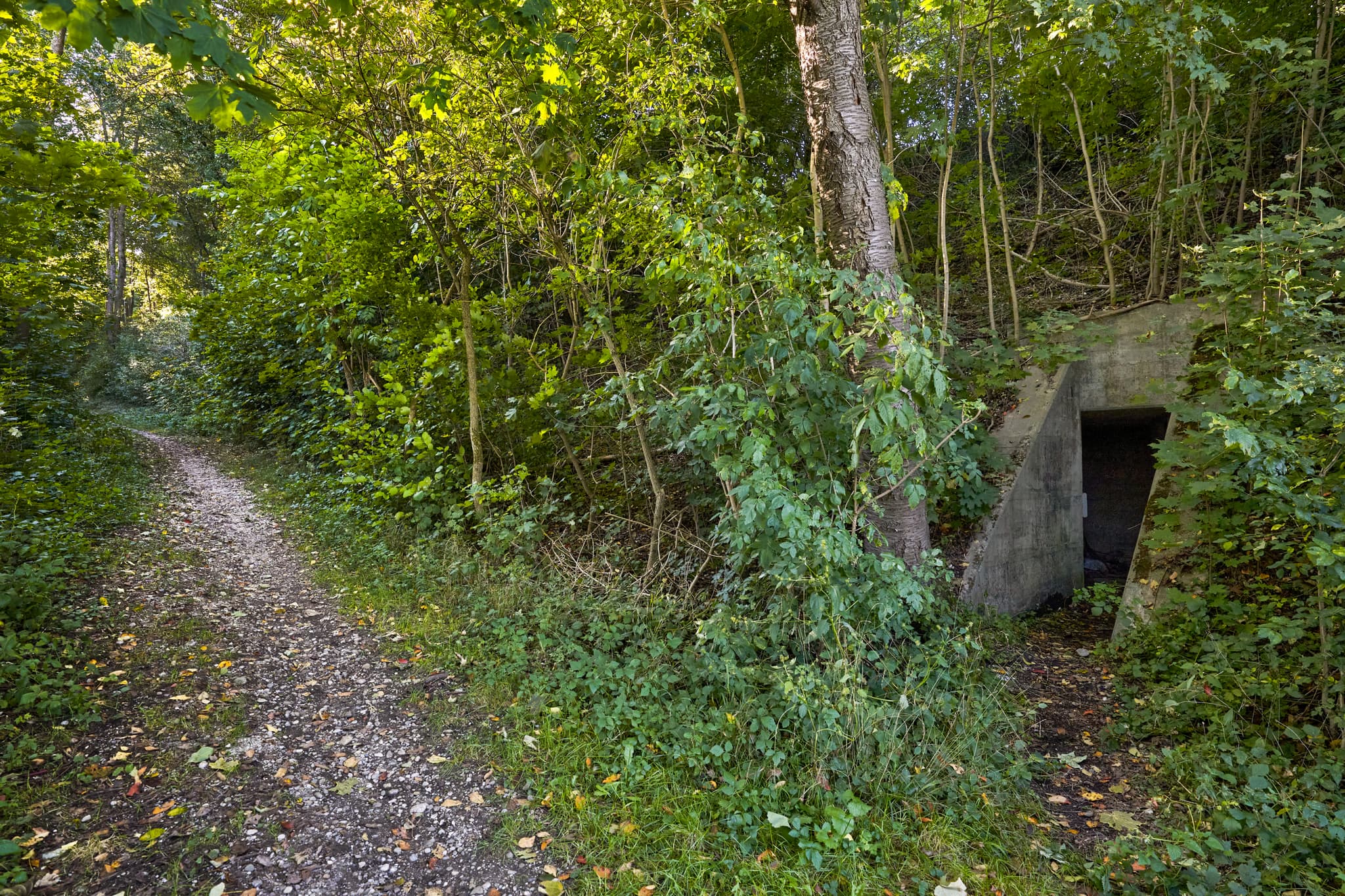 Eine alte Bunkeranlage (Rundeg) in Ecksberg Altmühldorf, Mühldorf am Inn, Oberbayern, Inn-Salzach, Deutschland. Zwei massive Betonwände umrahmen den Eingang.