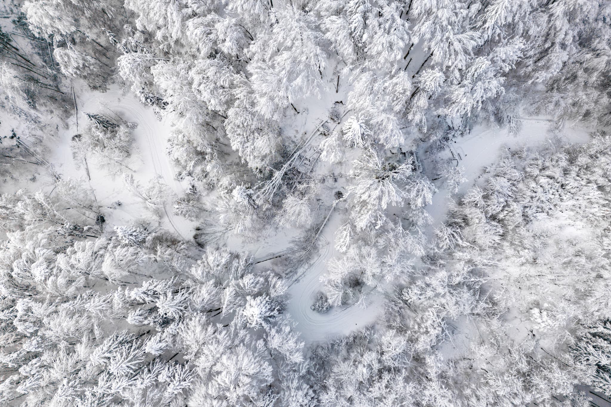 Winterliches Luftbild von Marktl am Inn nach einem Schneebruch am Bruckberg in Oberbayern, Inn-Salzach Region, Deutschland. Eindrucksvolle Schneelandschaft.